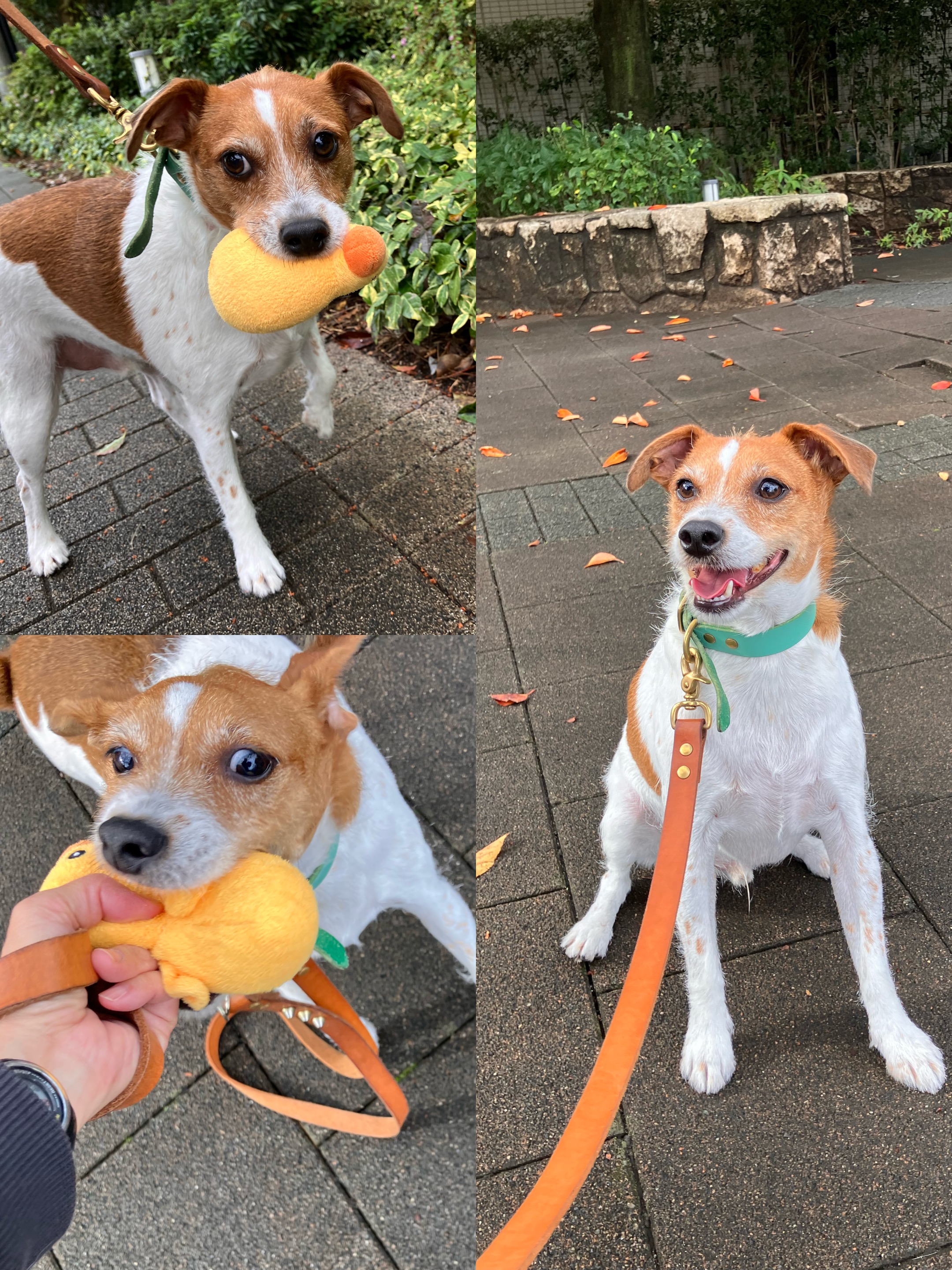 アップロードファイル 1,883KB