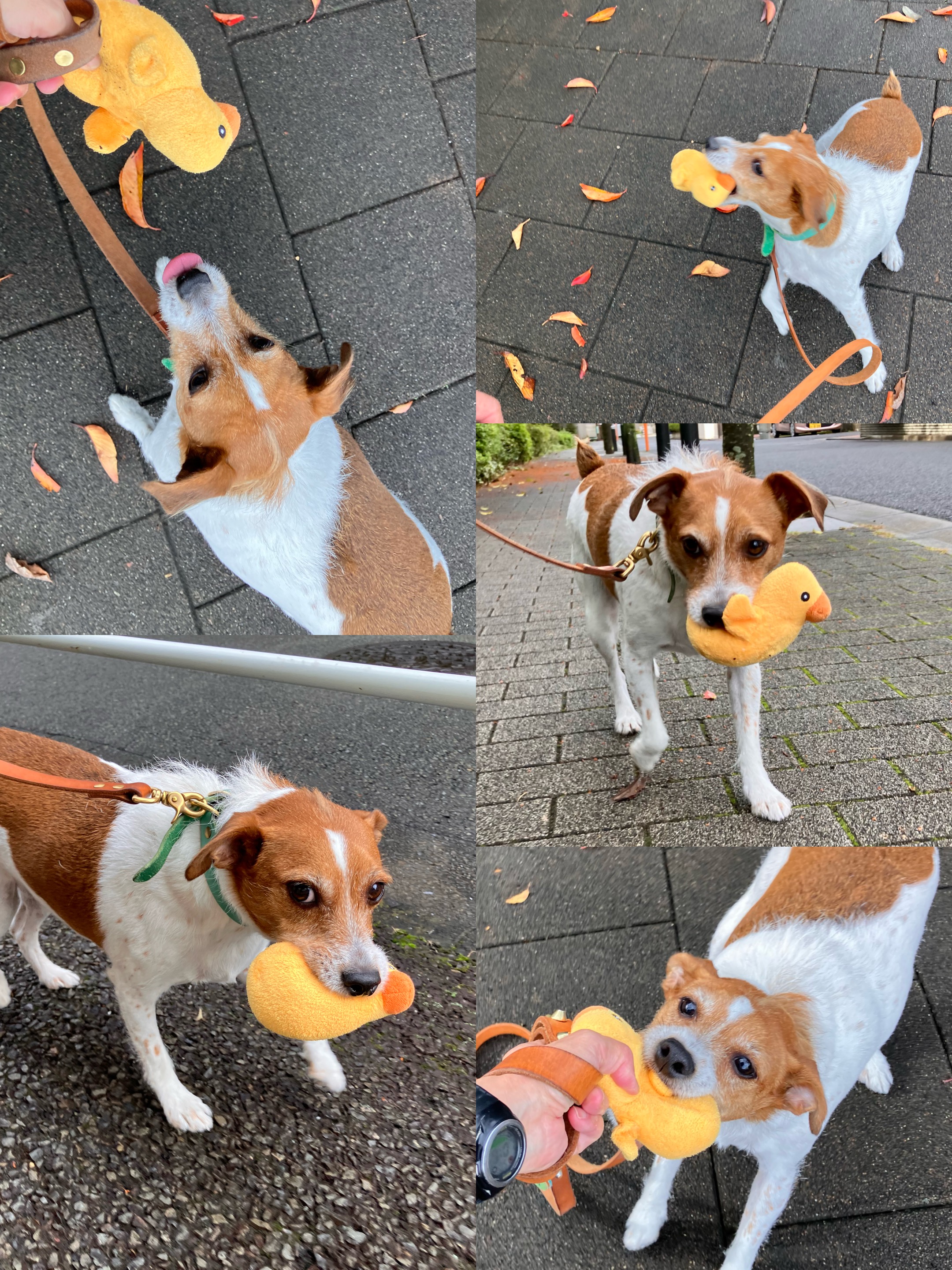 アップロードファイル 1,909KB