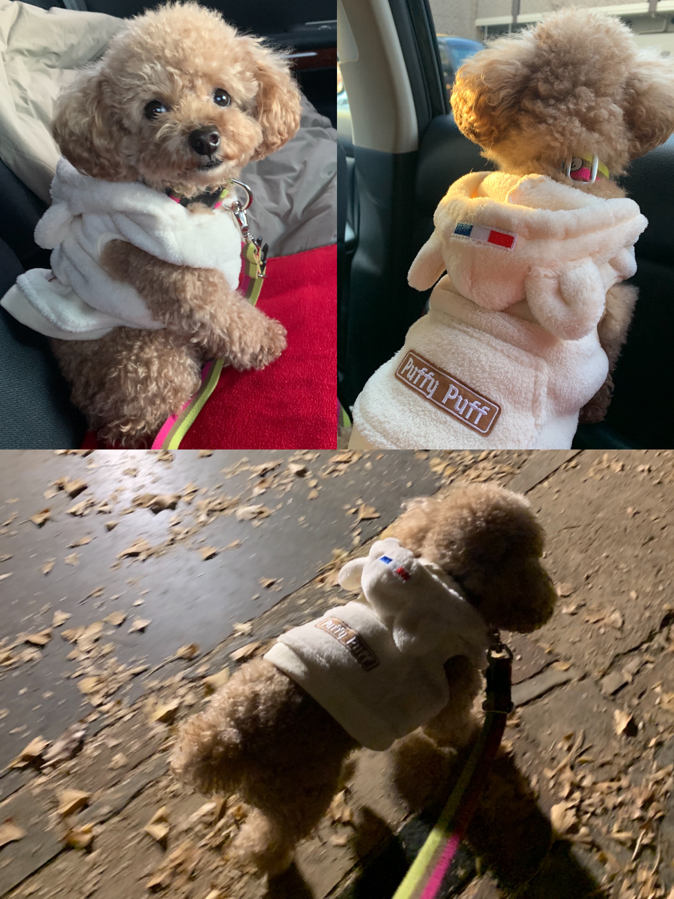 アップロードファイル 1,177KB