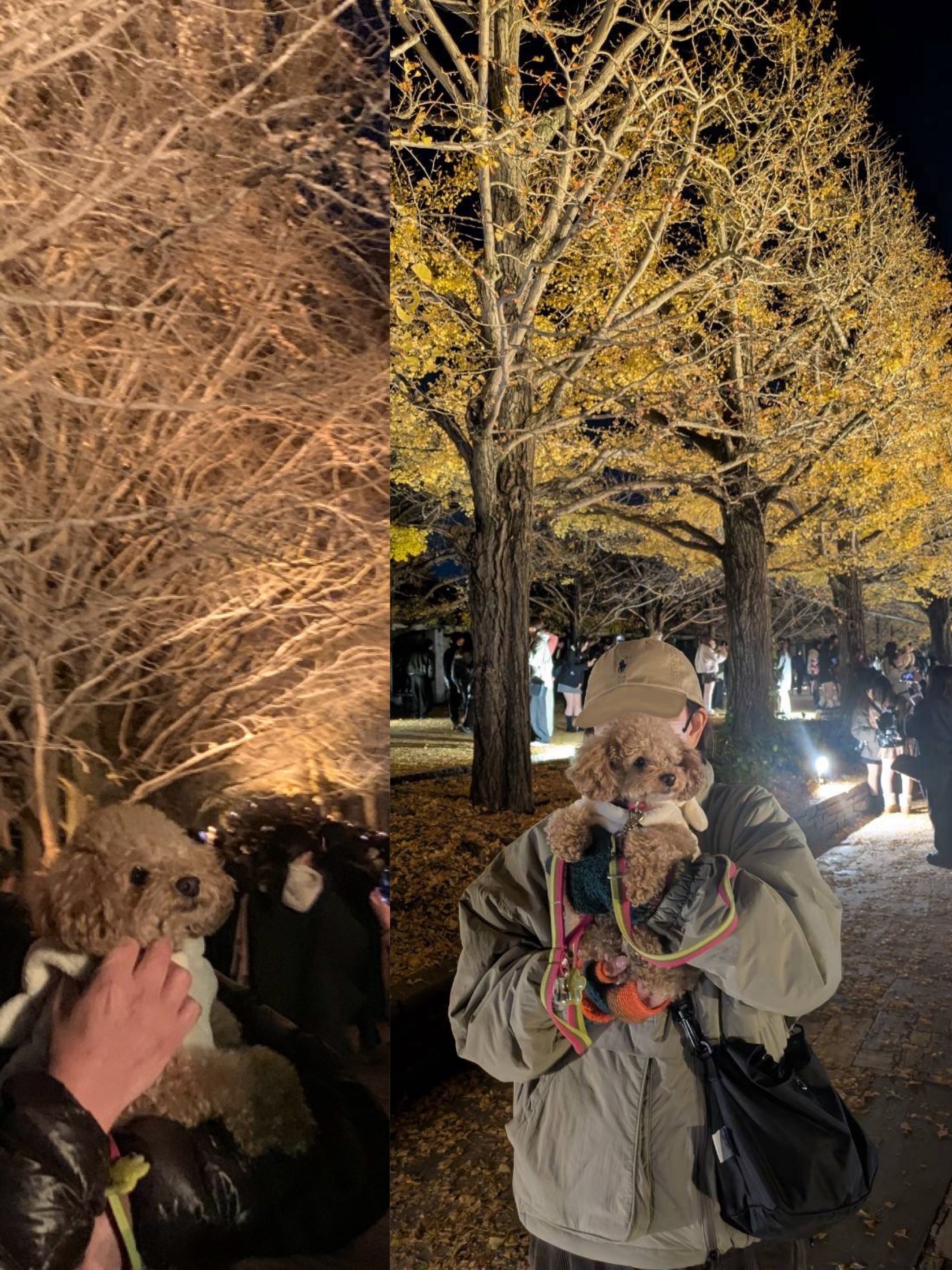 アップロードファイル 1,565KB