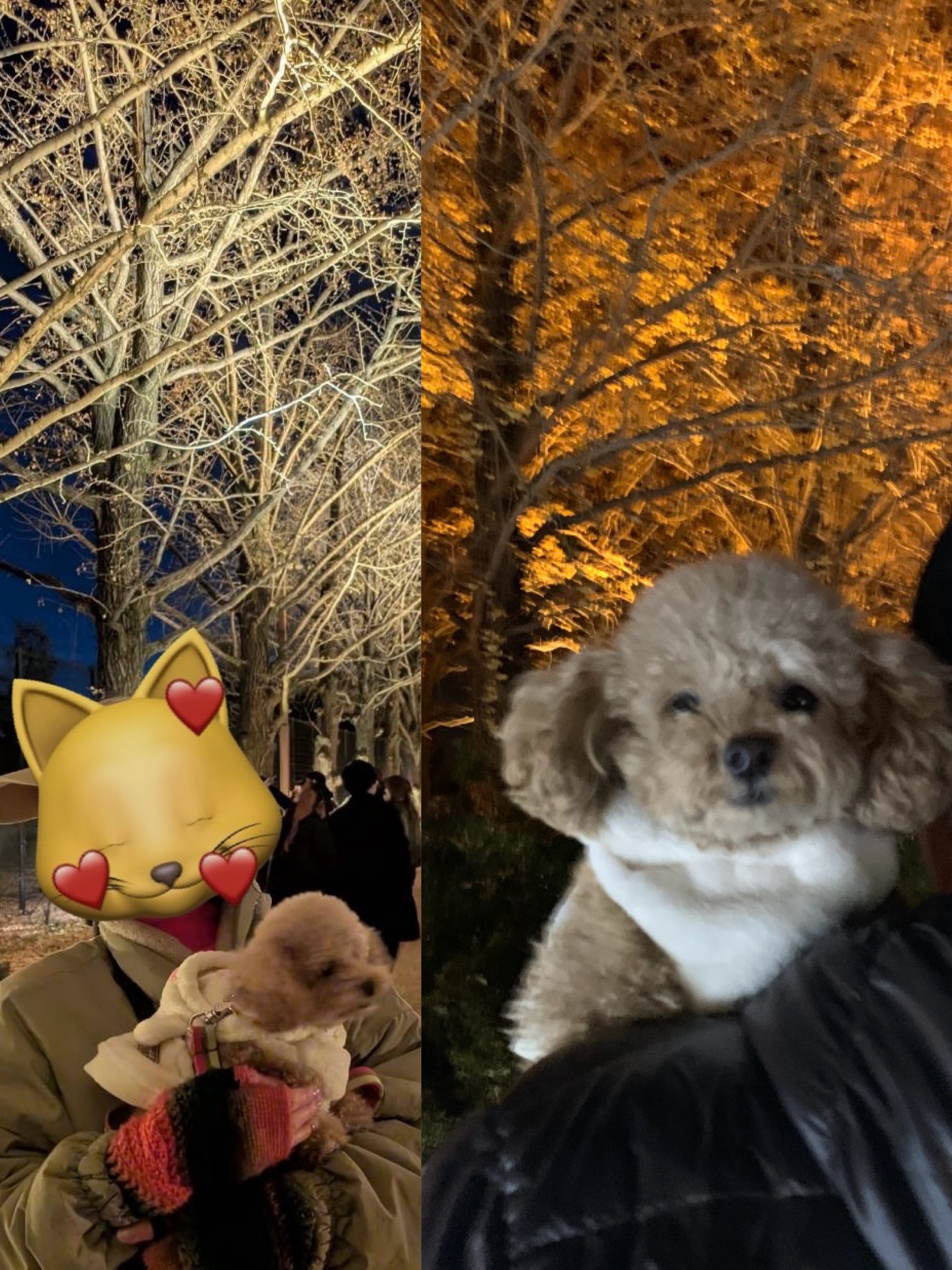 アップロードファイル 1,359KB