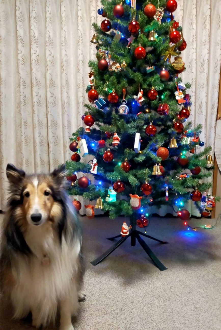 アップロードファイル 384KB