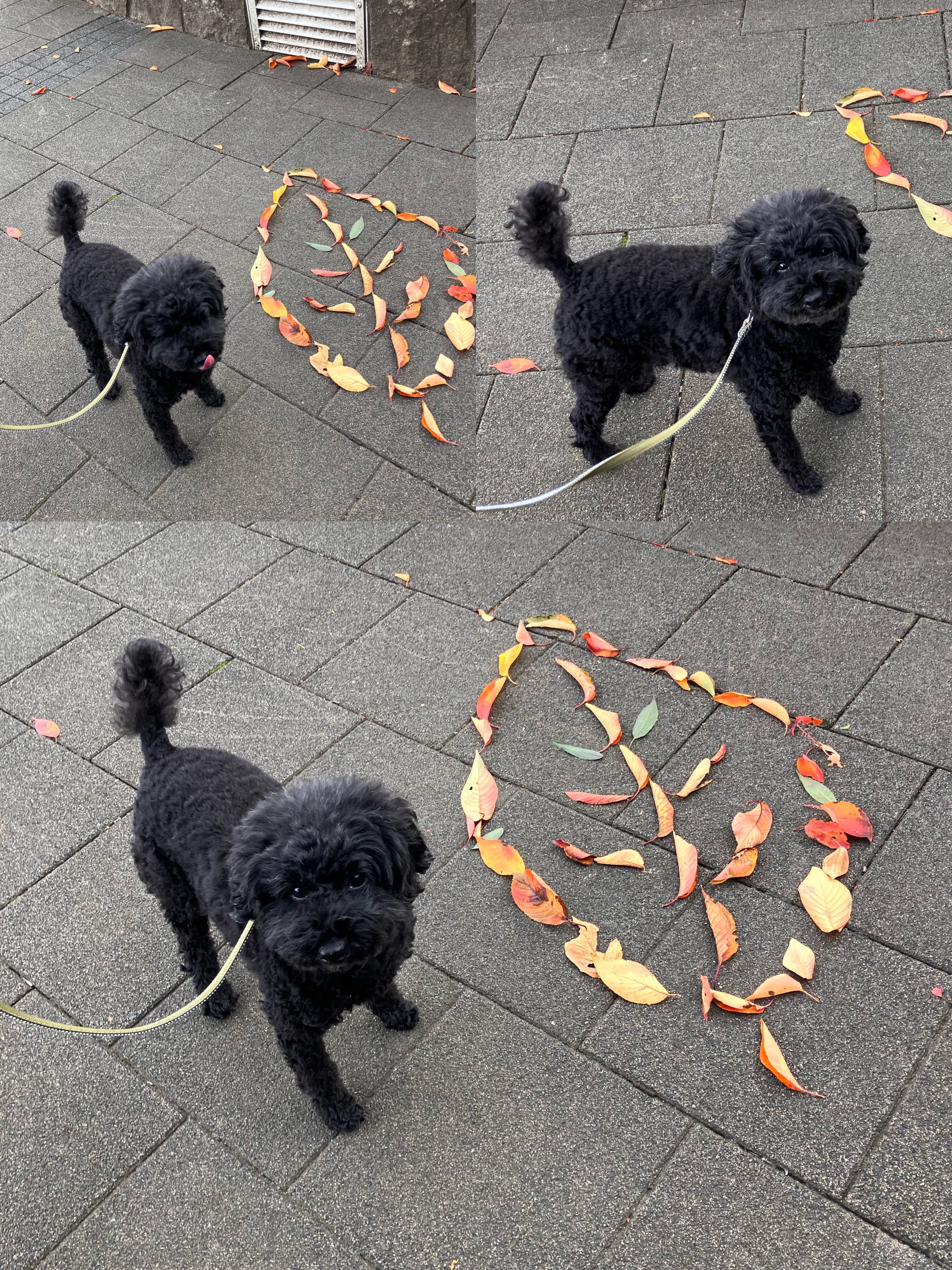 アップロードファイル 3,094KB