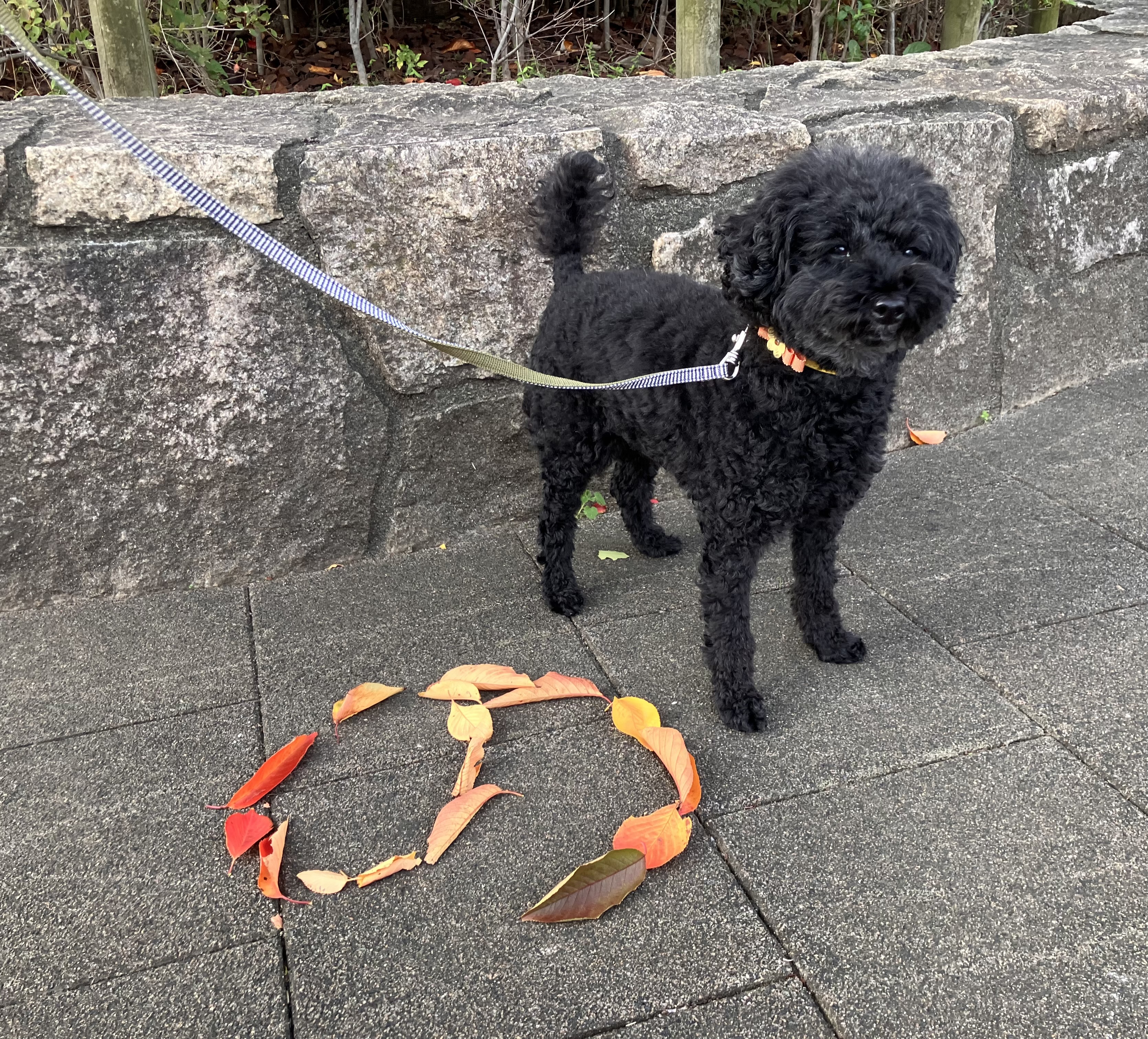 アップロードファイル 4,505KB