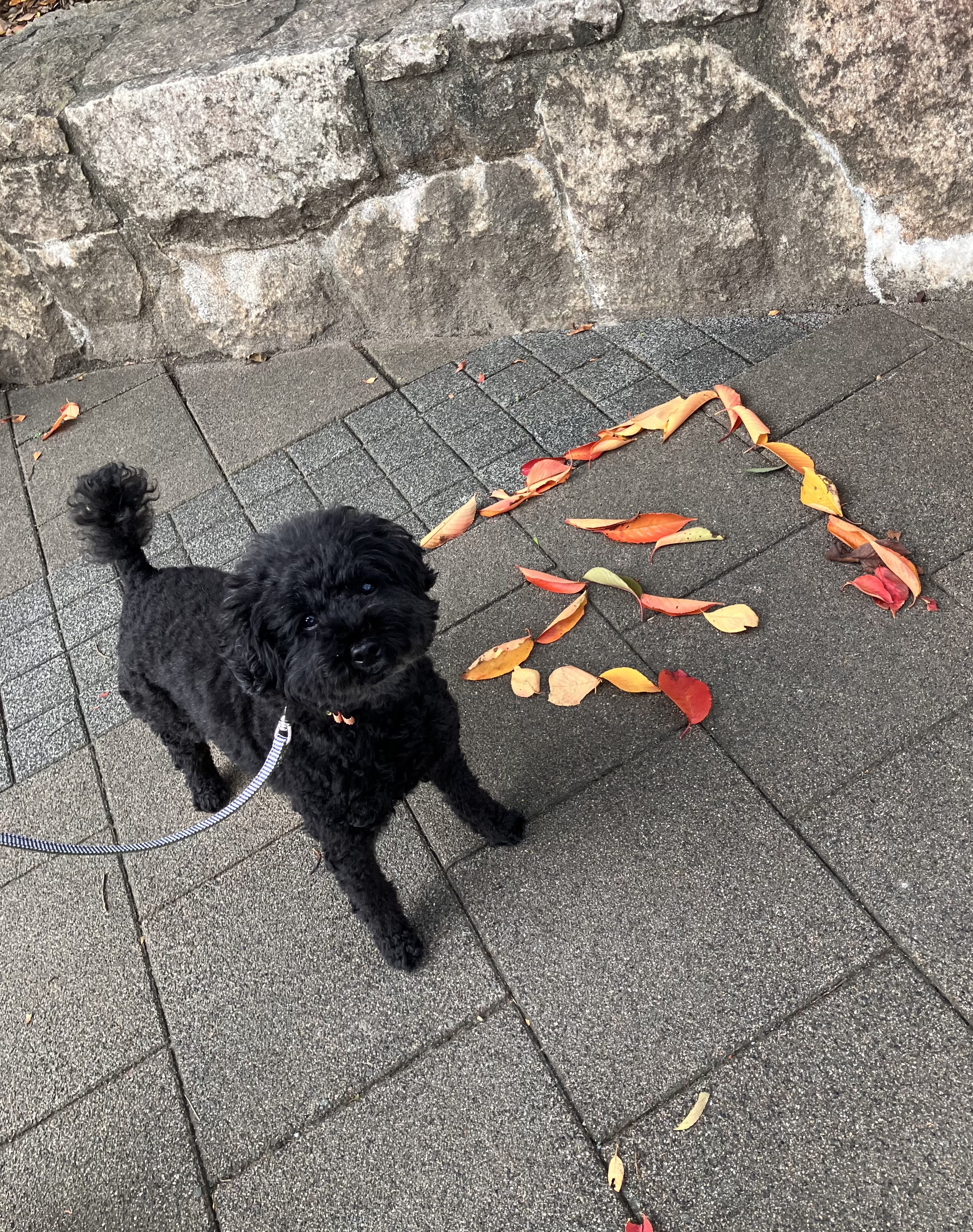 アップロードファイル 5,069KB