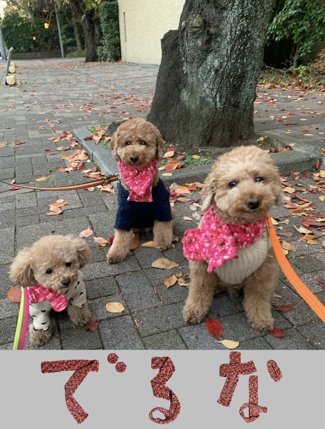 アップロードファイル 271KB