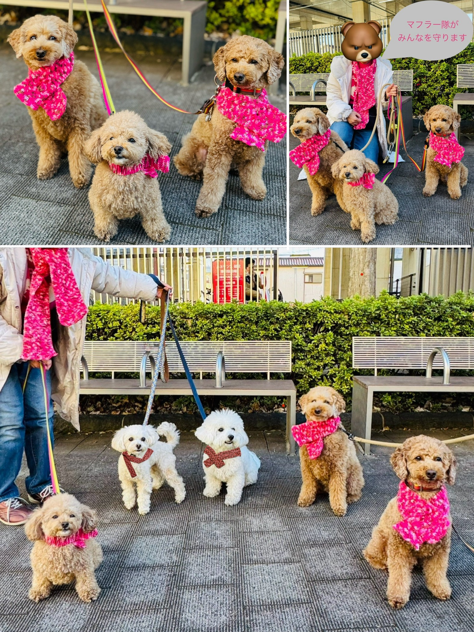 アップロードファイル 1,258KB