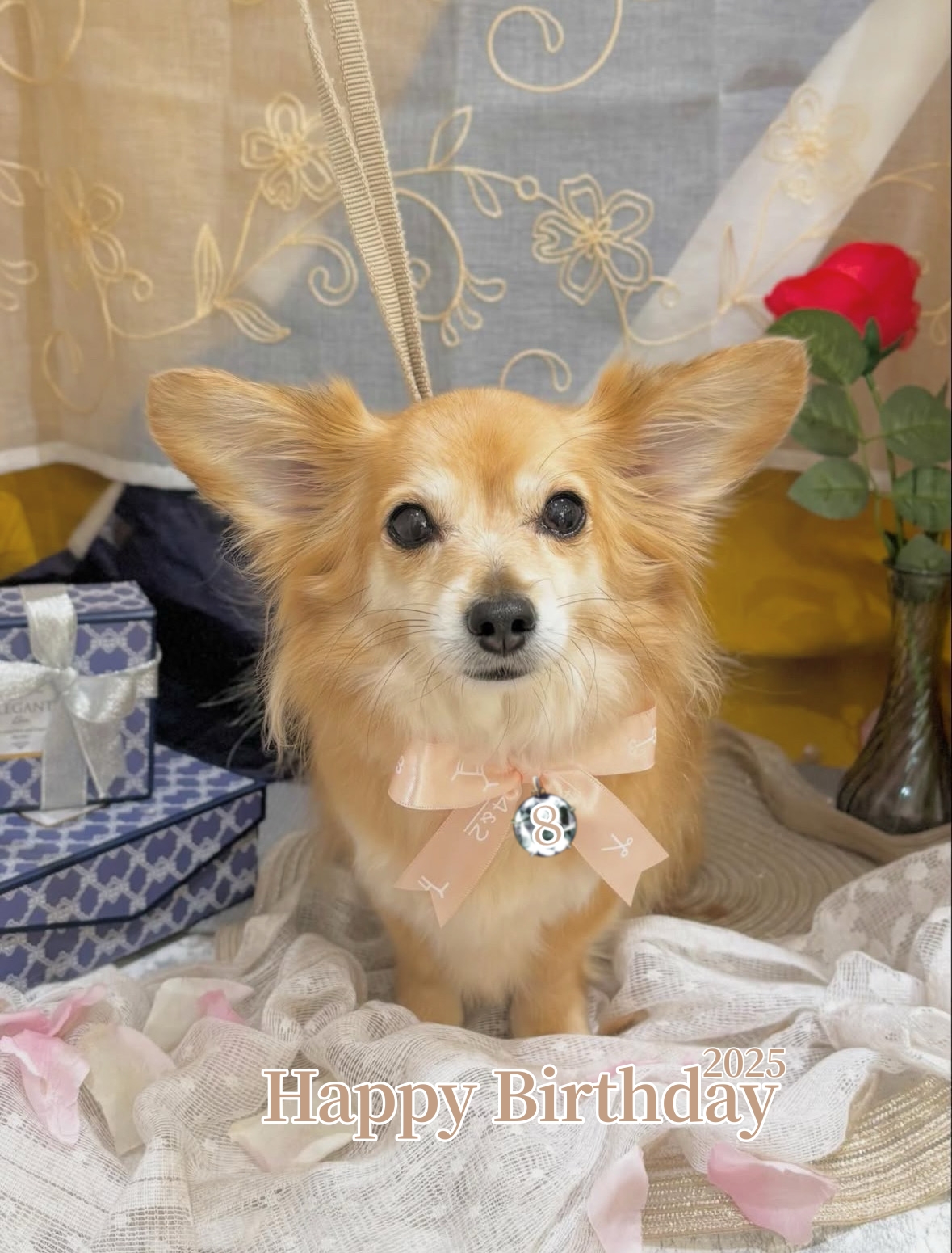 アップロードファイル 787KB