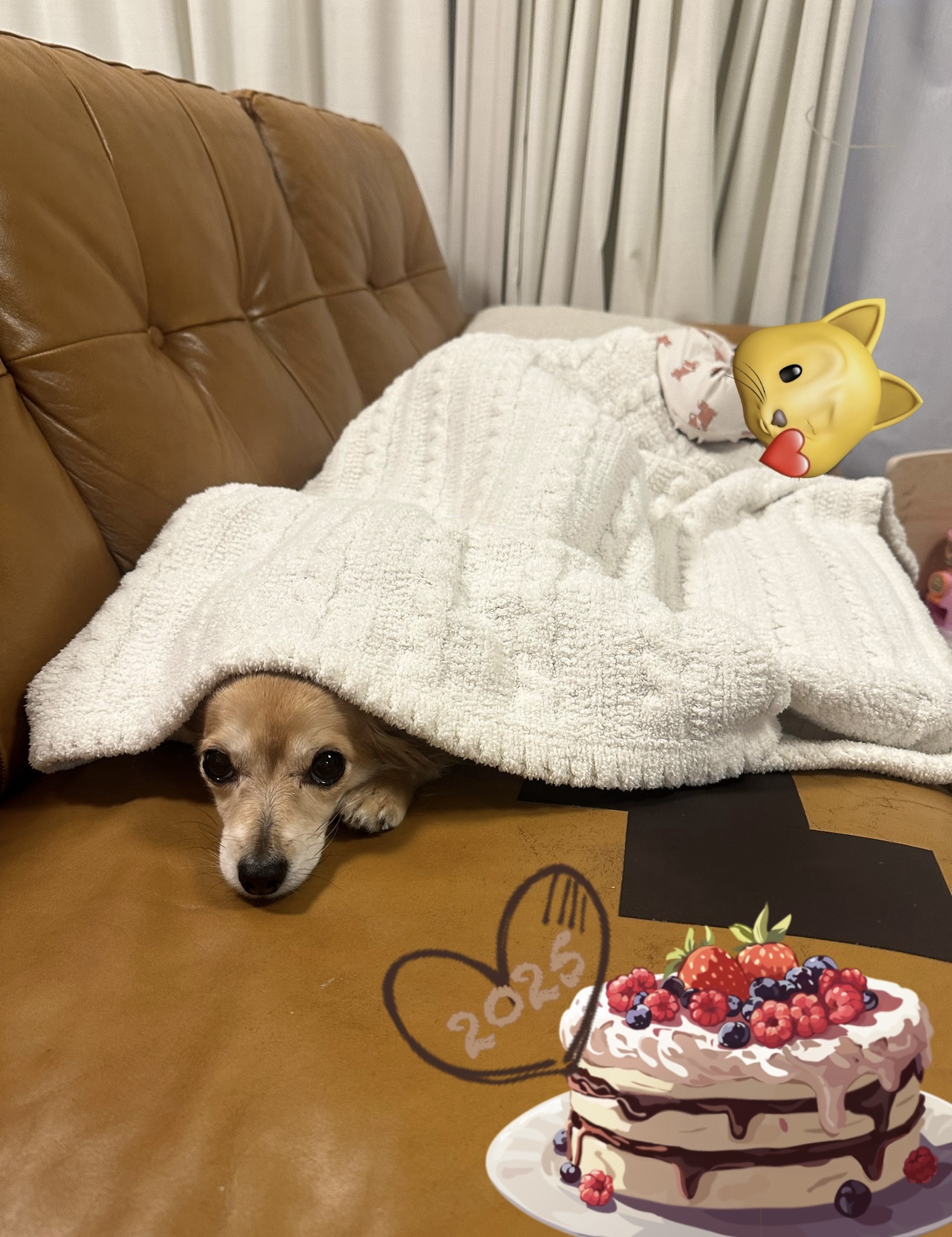 アップロードファイル 921KB