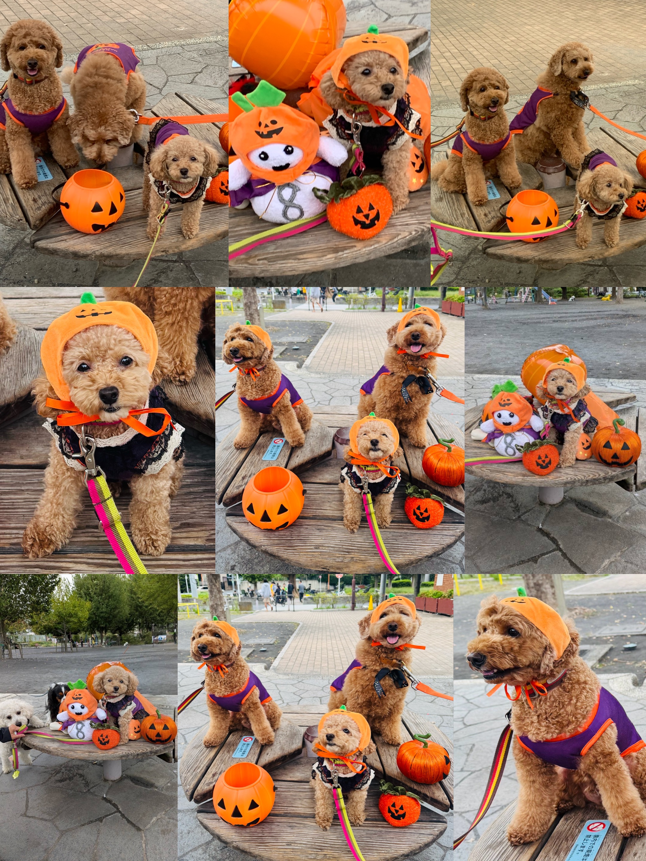 アップロードファイル 2,024KB