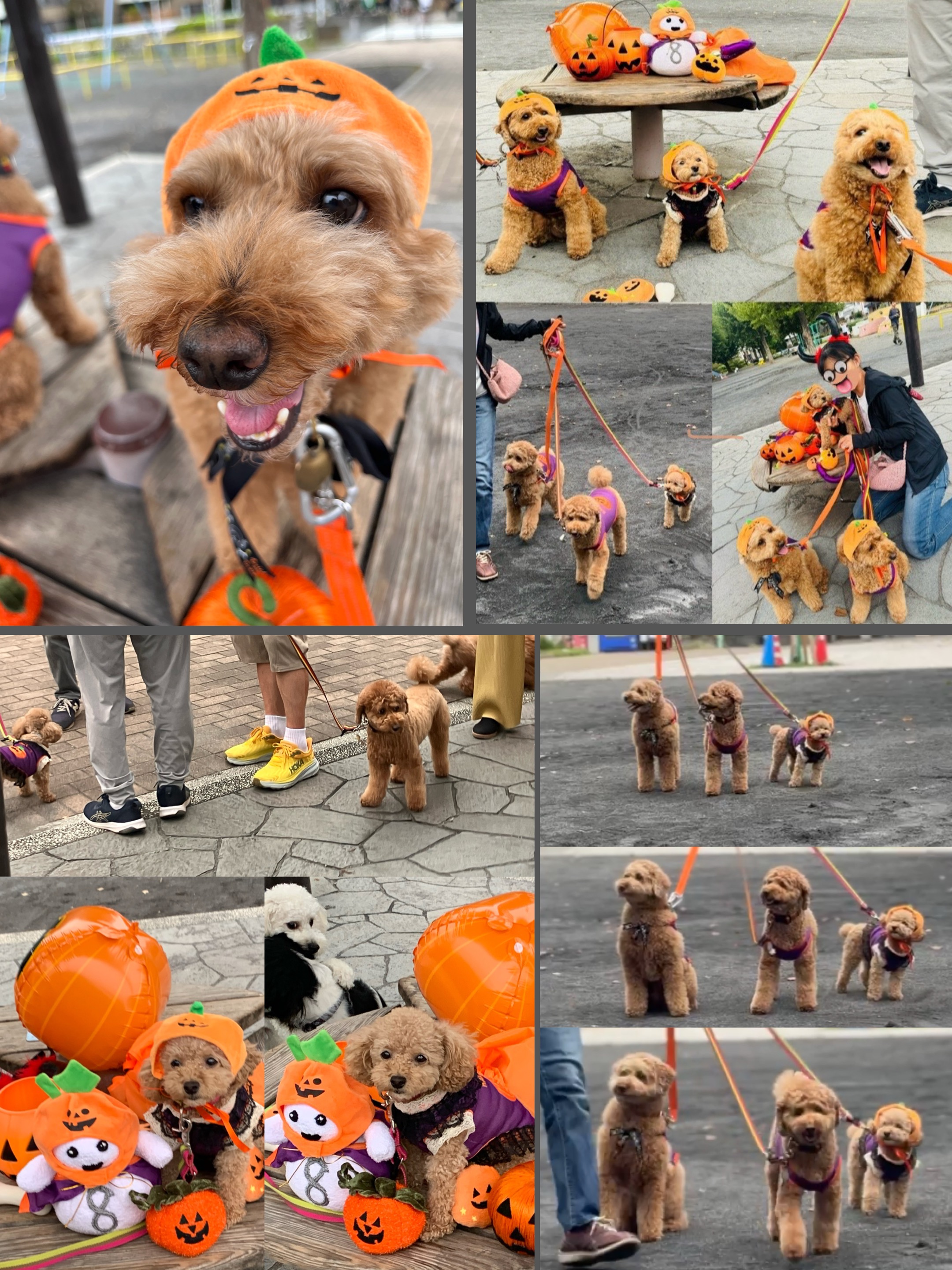 アップロードファイル 1,400KB