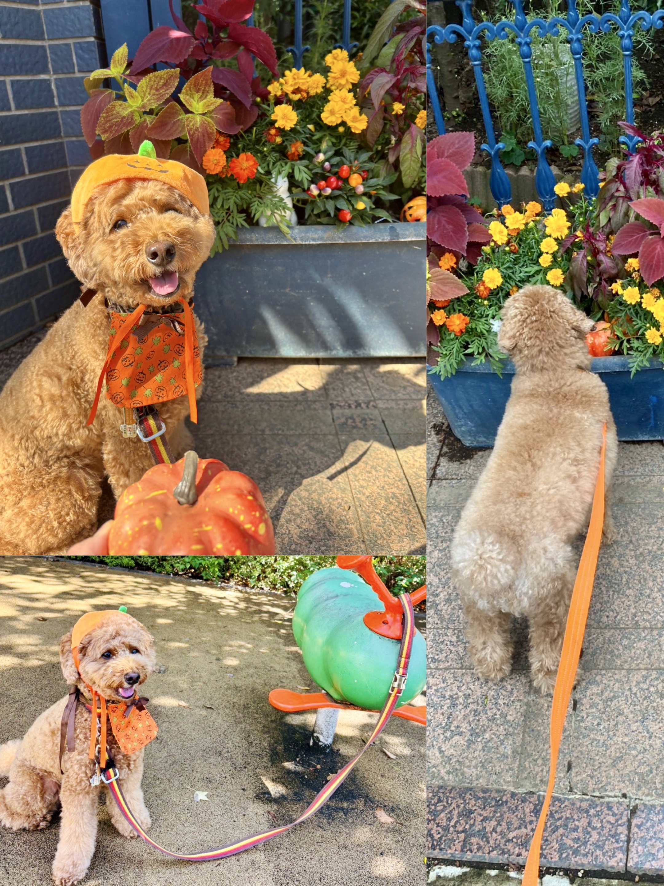 アップロードファイル 2,150KB