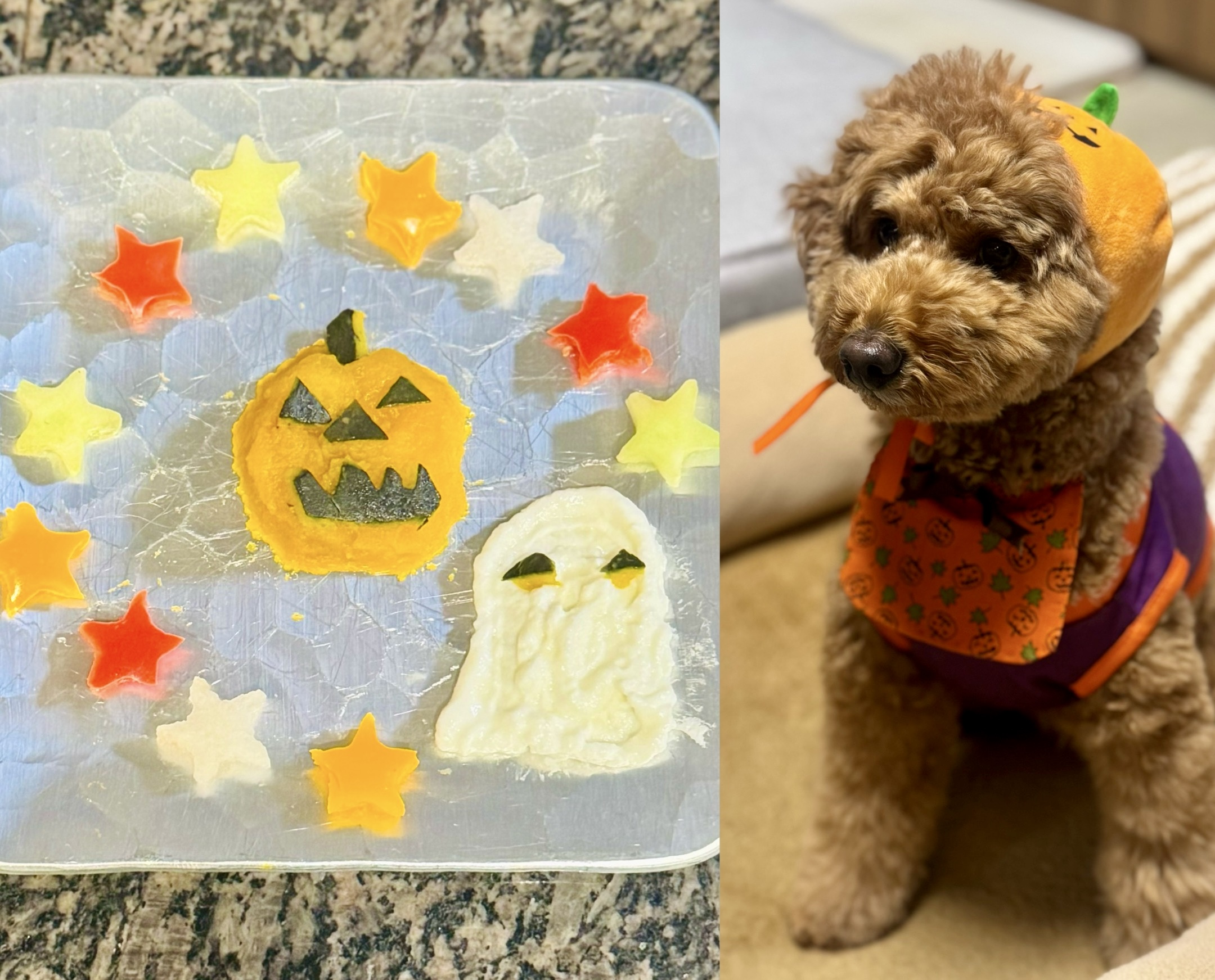 アップロードファイル 824KB