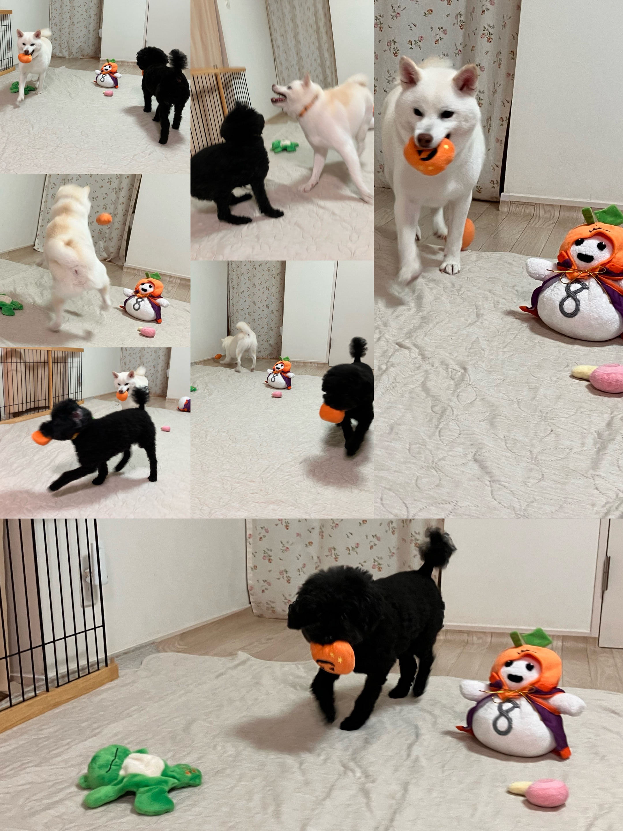 アップロードファイル 1,180KB