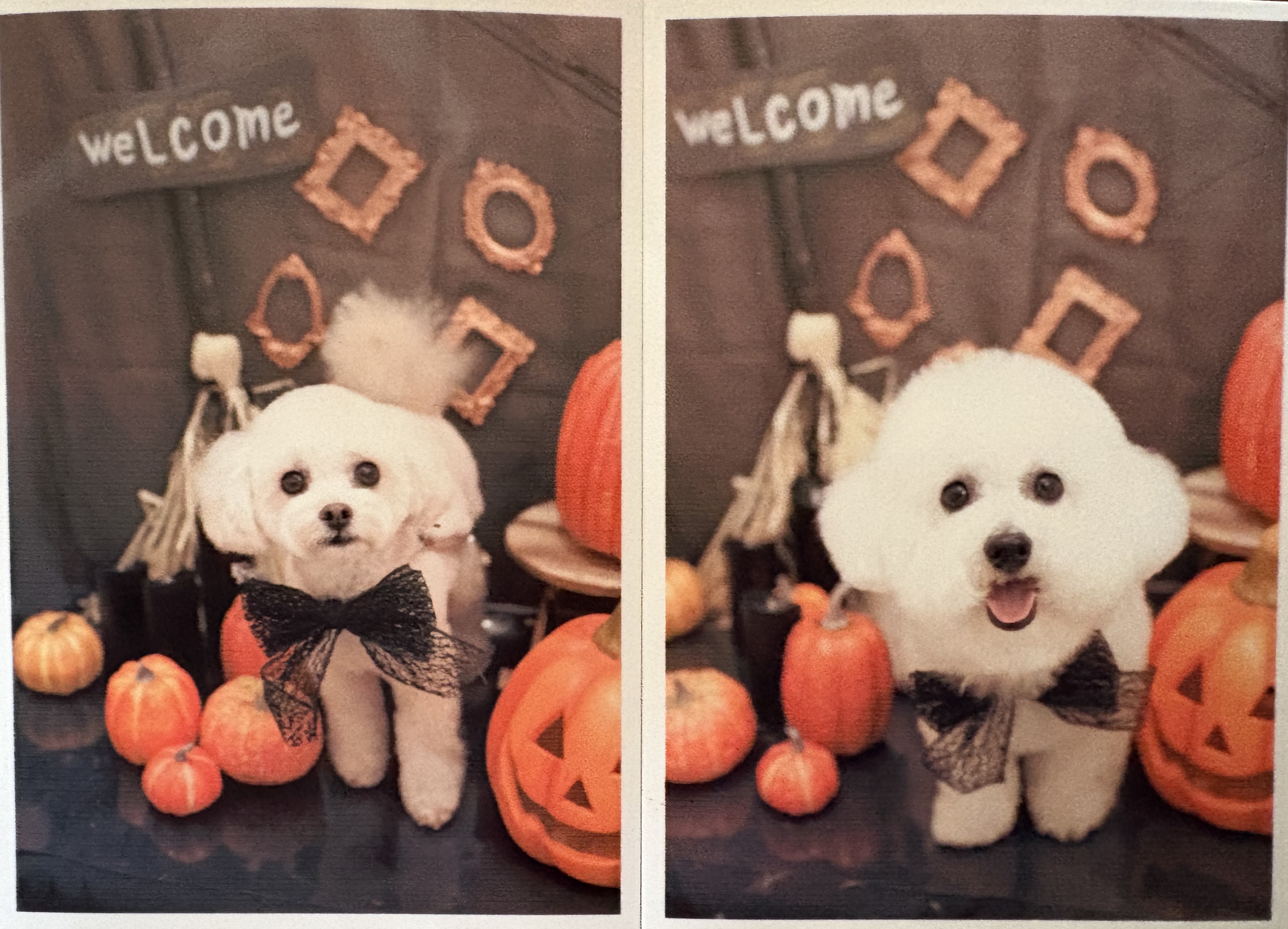 アップロードファイル 2,294KB