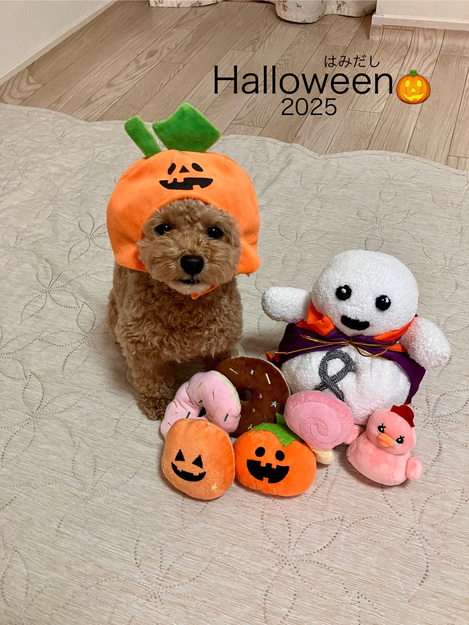 アップロードファイル 919KB