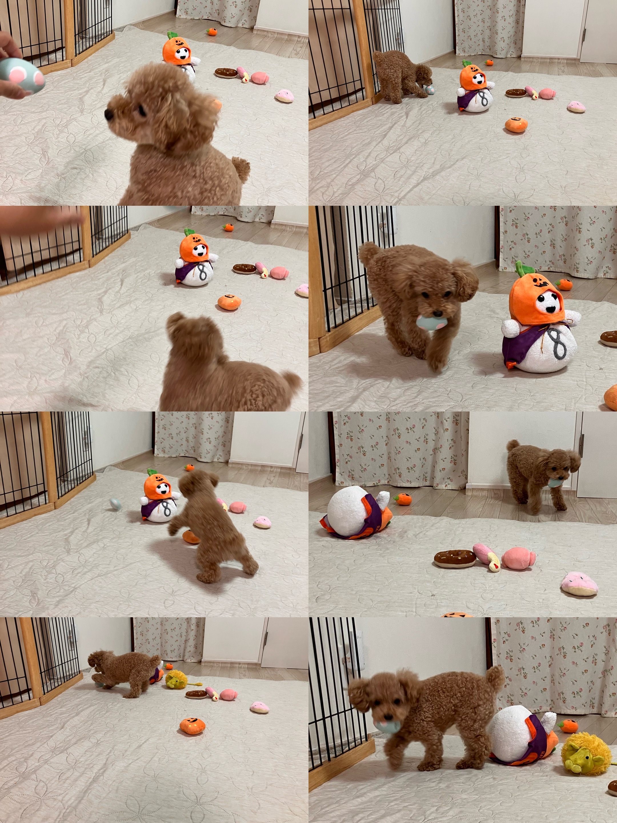 アップロードファイル 1,622KB