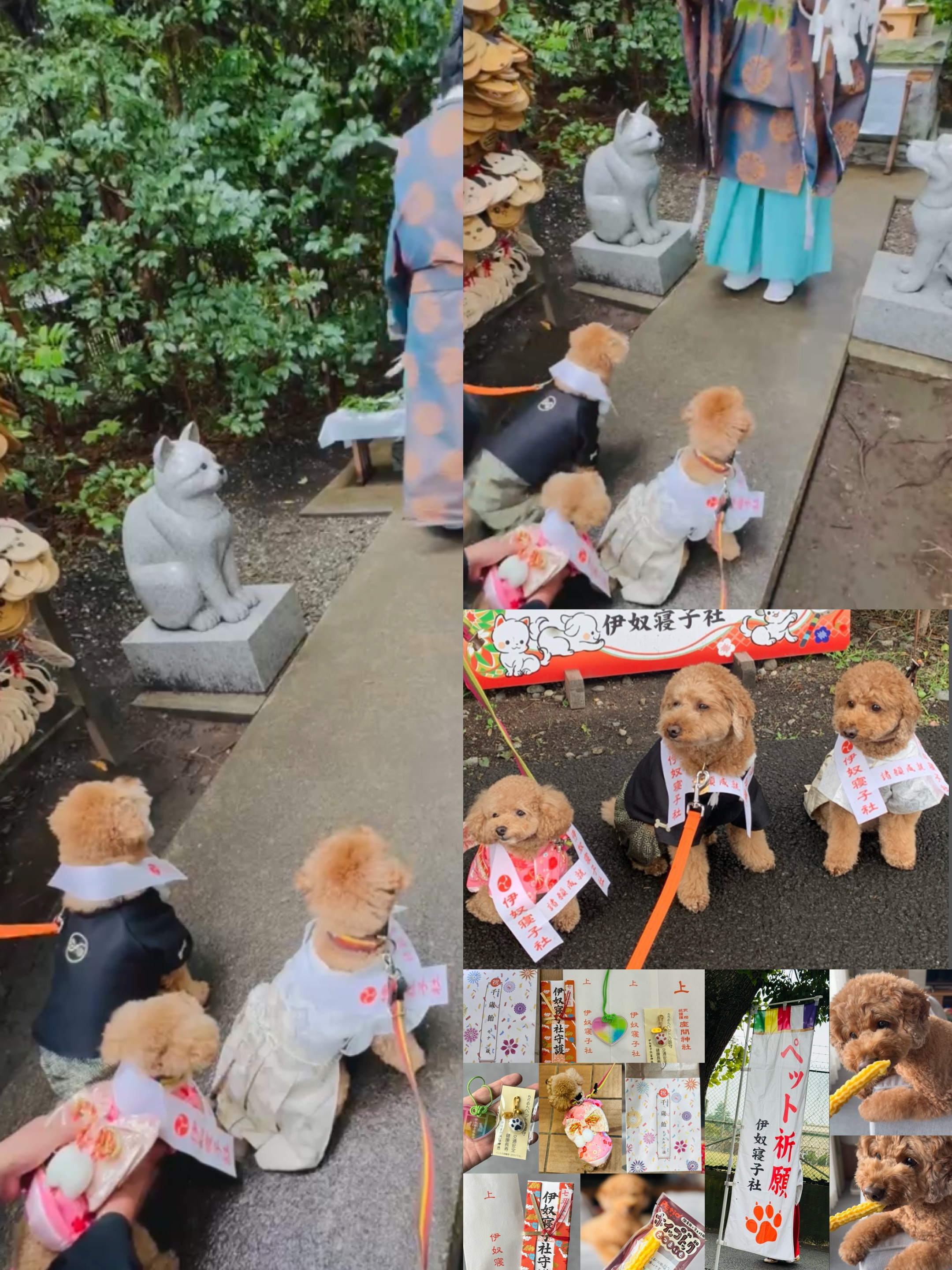 アップロードファイル 1,217KB