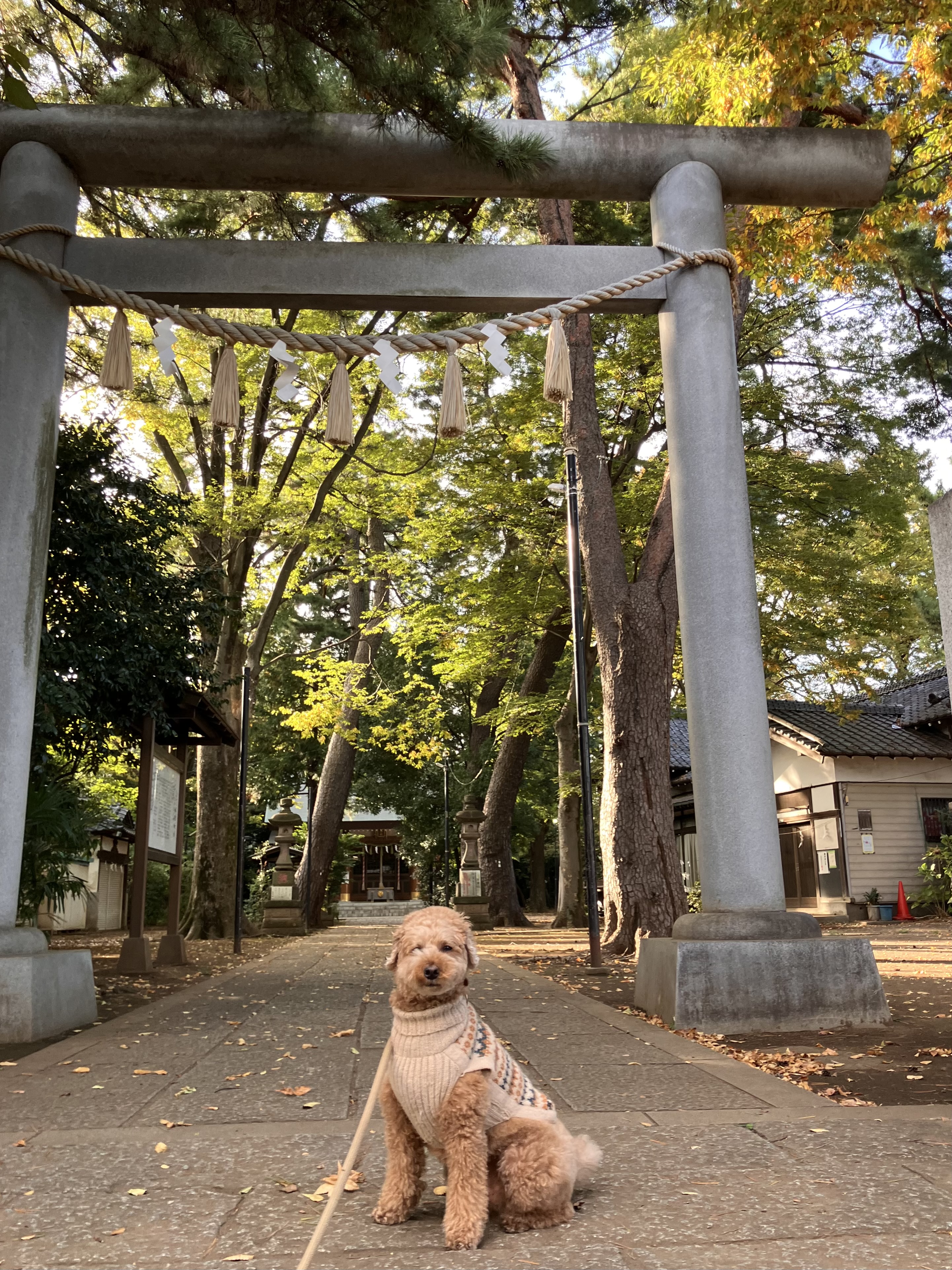 アップロードファイル 3,595KB