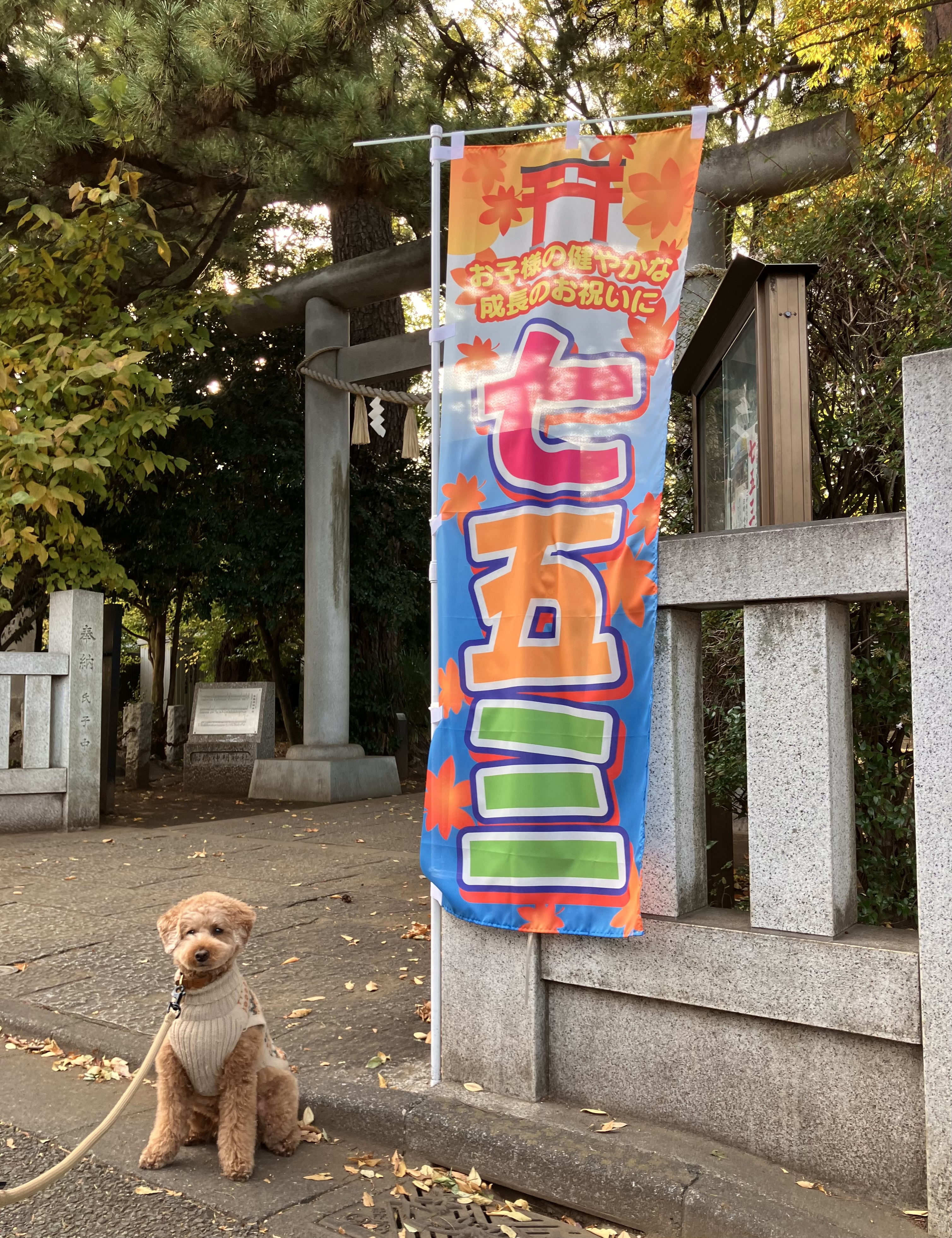 アップロードファイル 3,949KB