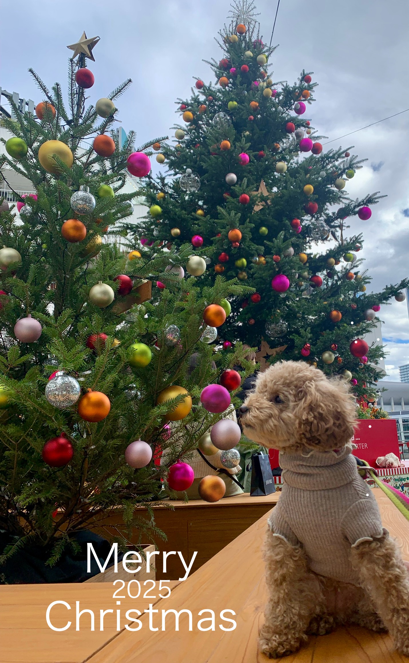 アップロードファイル 1,024KB