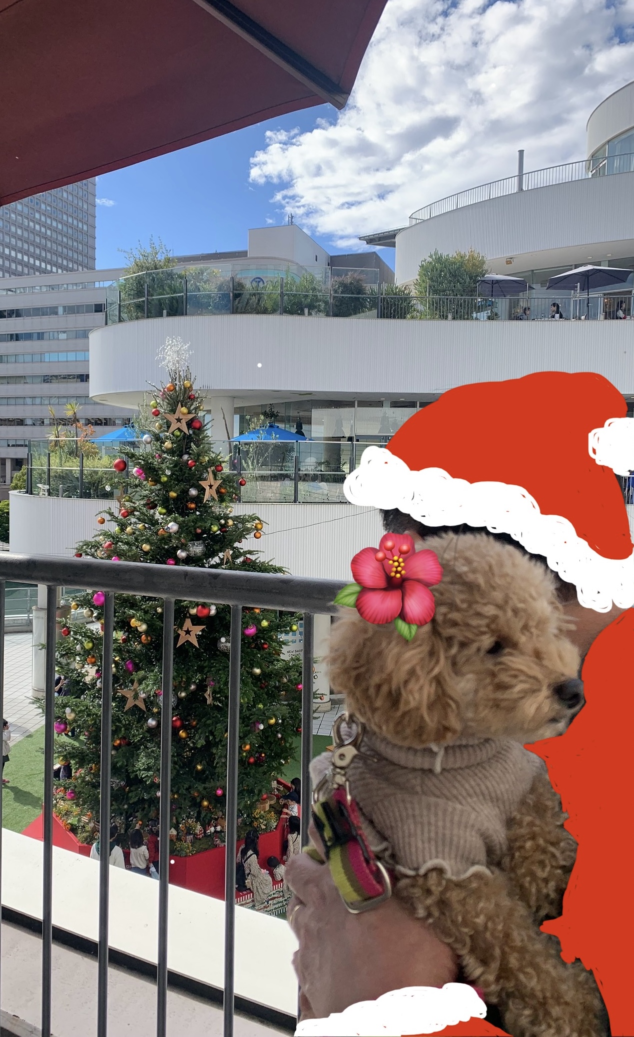 アップロードファイル 837KB