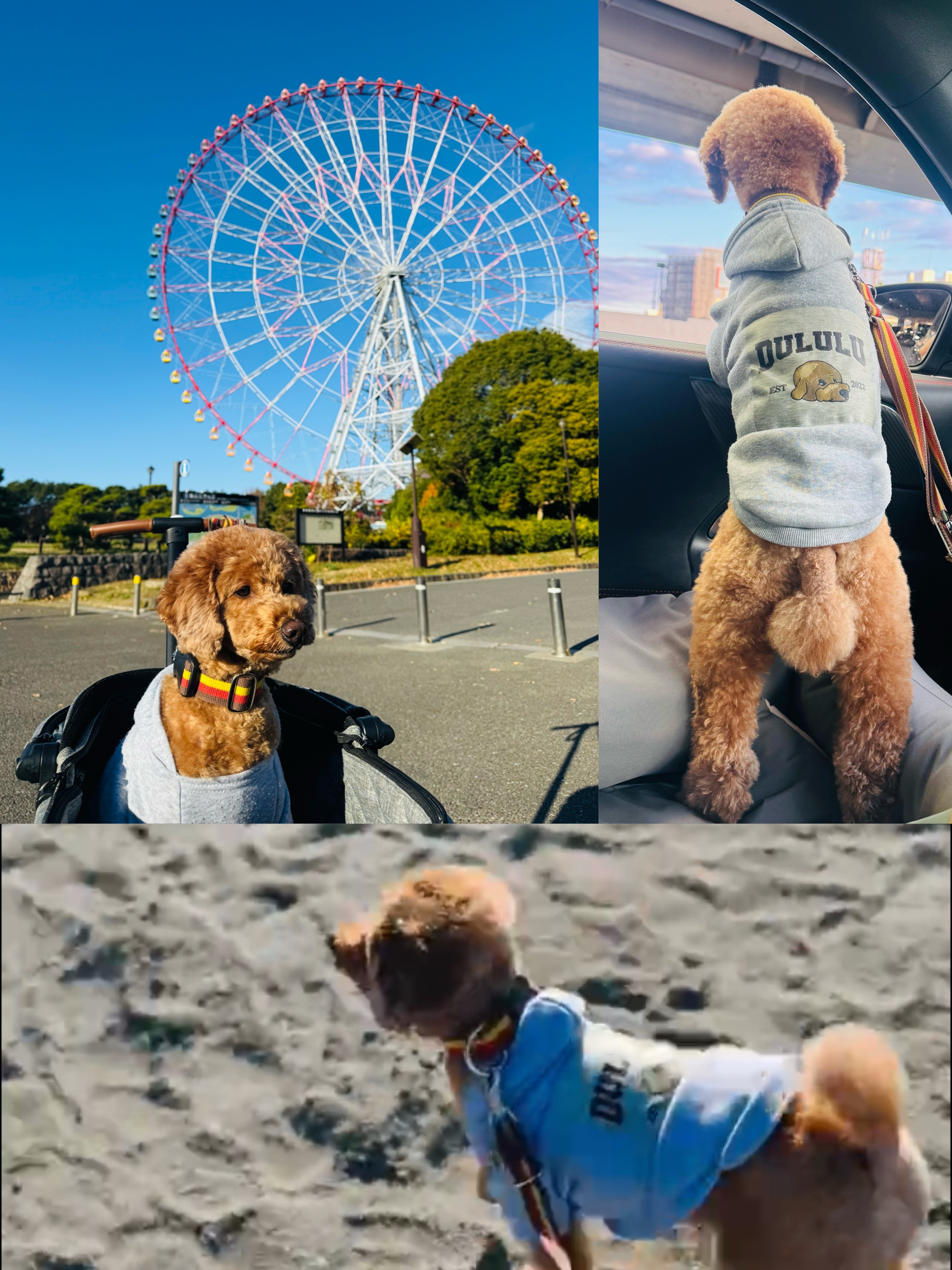 アップロードファイル 1,191KB