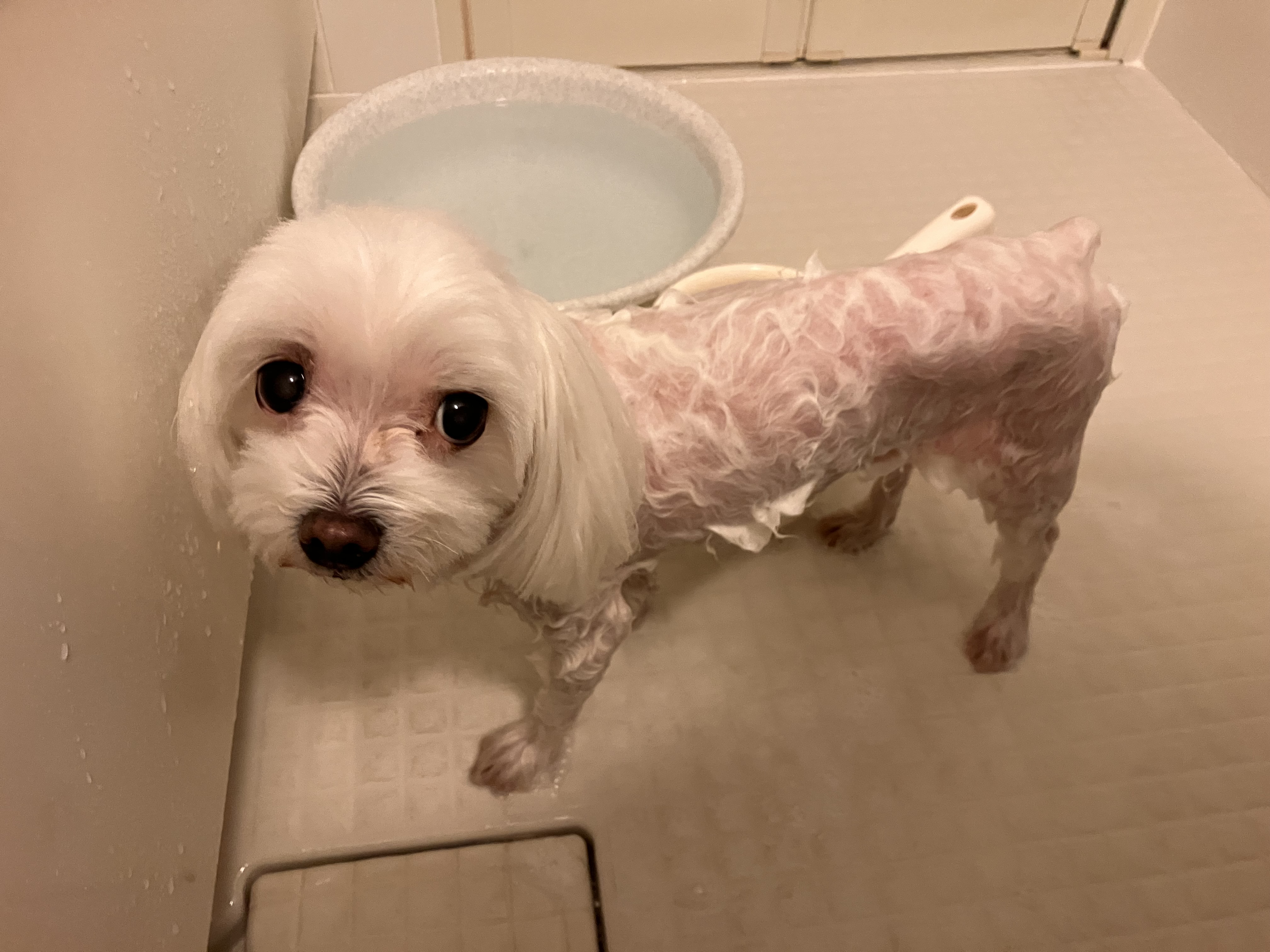 アップロードファイル 2,701KB