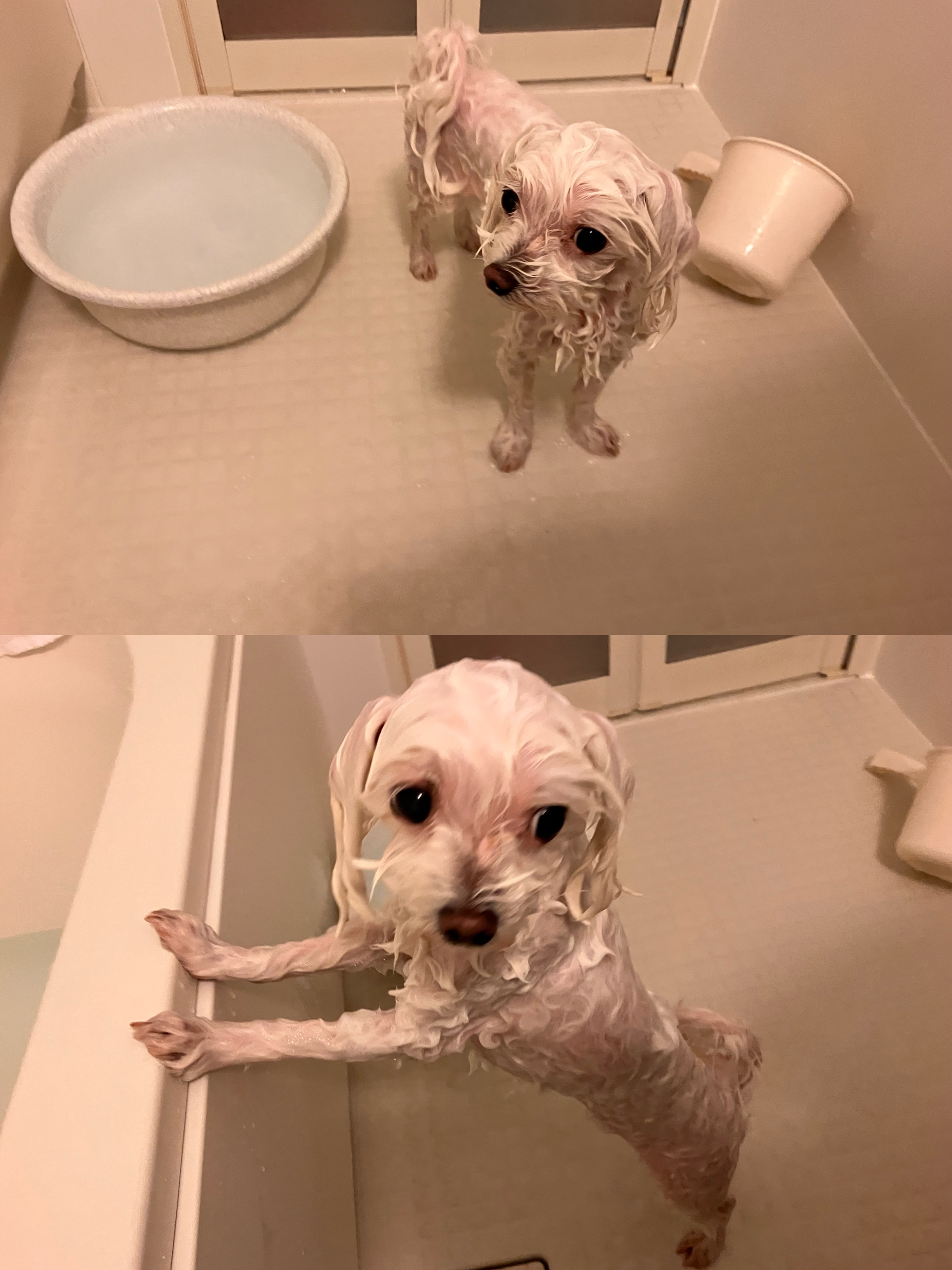 アップロードファイル 905KB