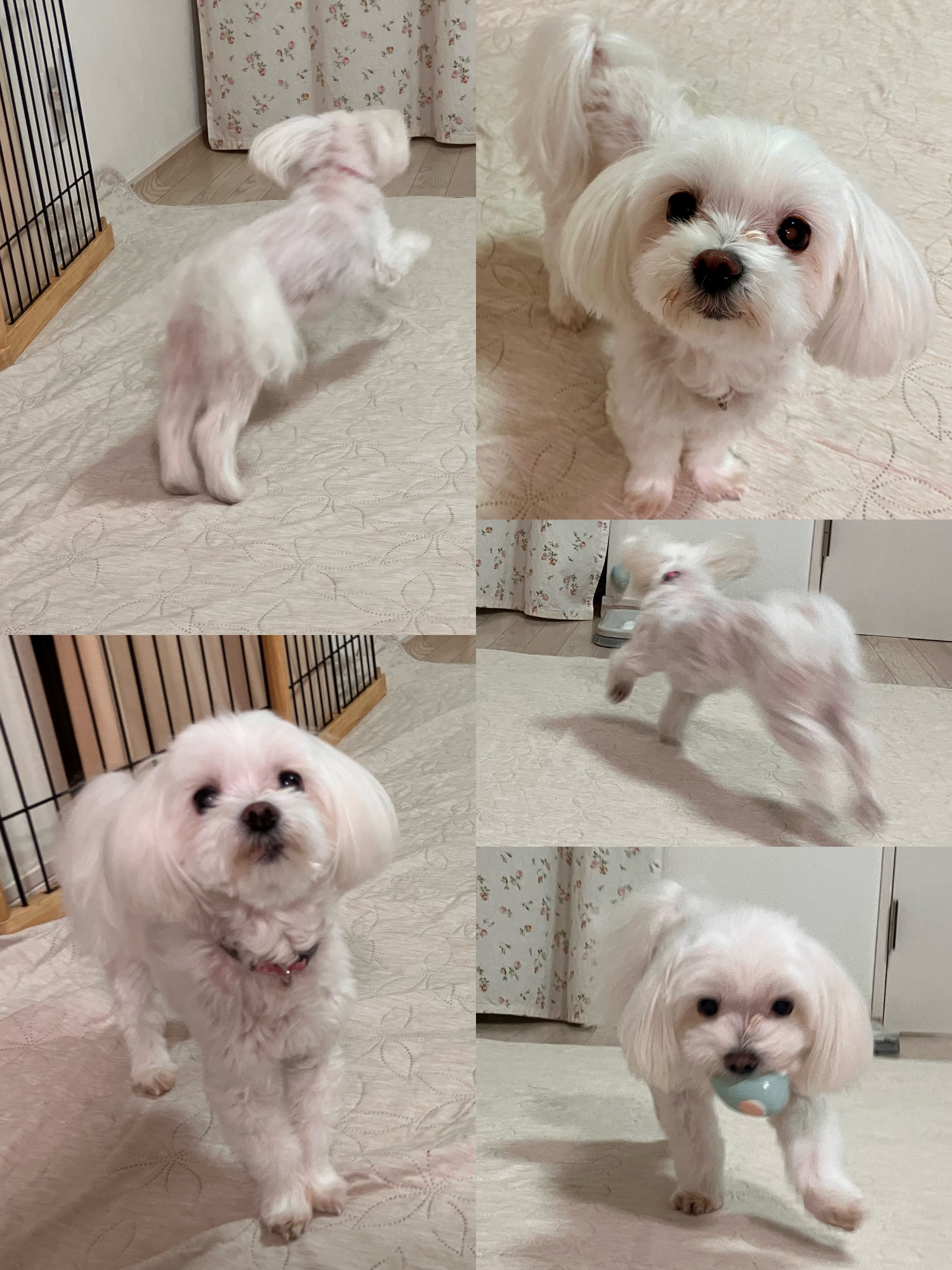 アップロードファイル 1,273KB