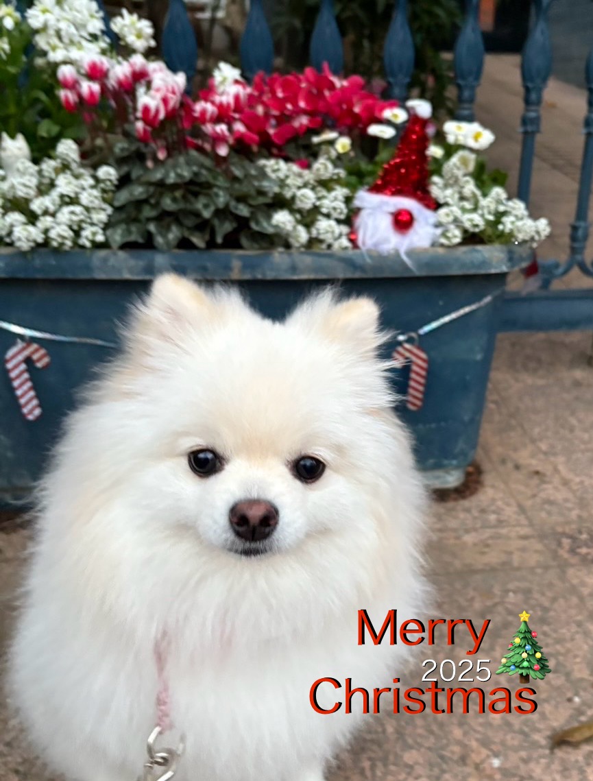 アップロードファイル 194KB