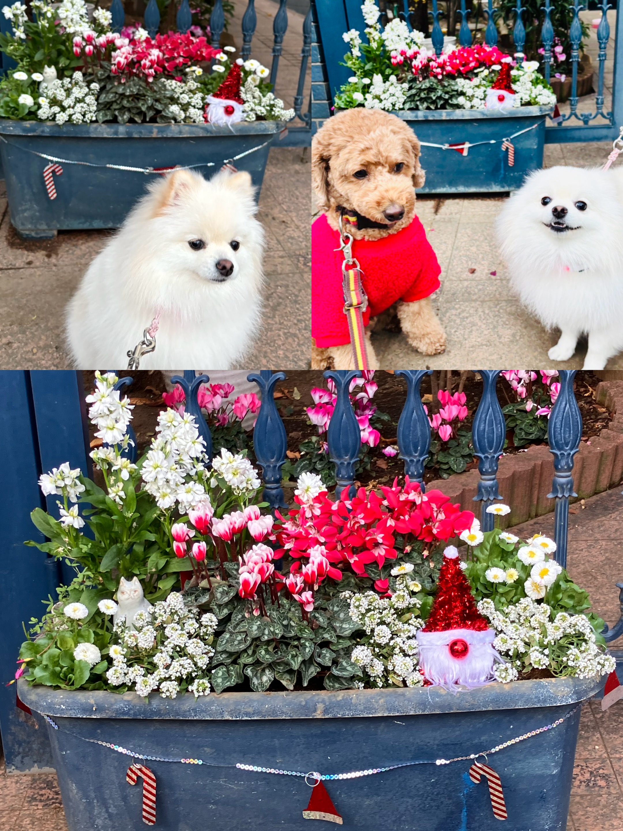 アップロードファイル 1,621KB