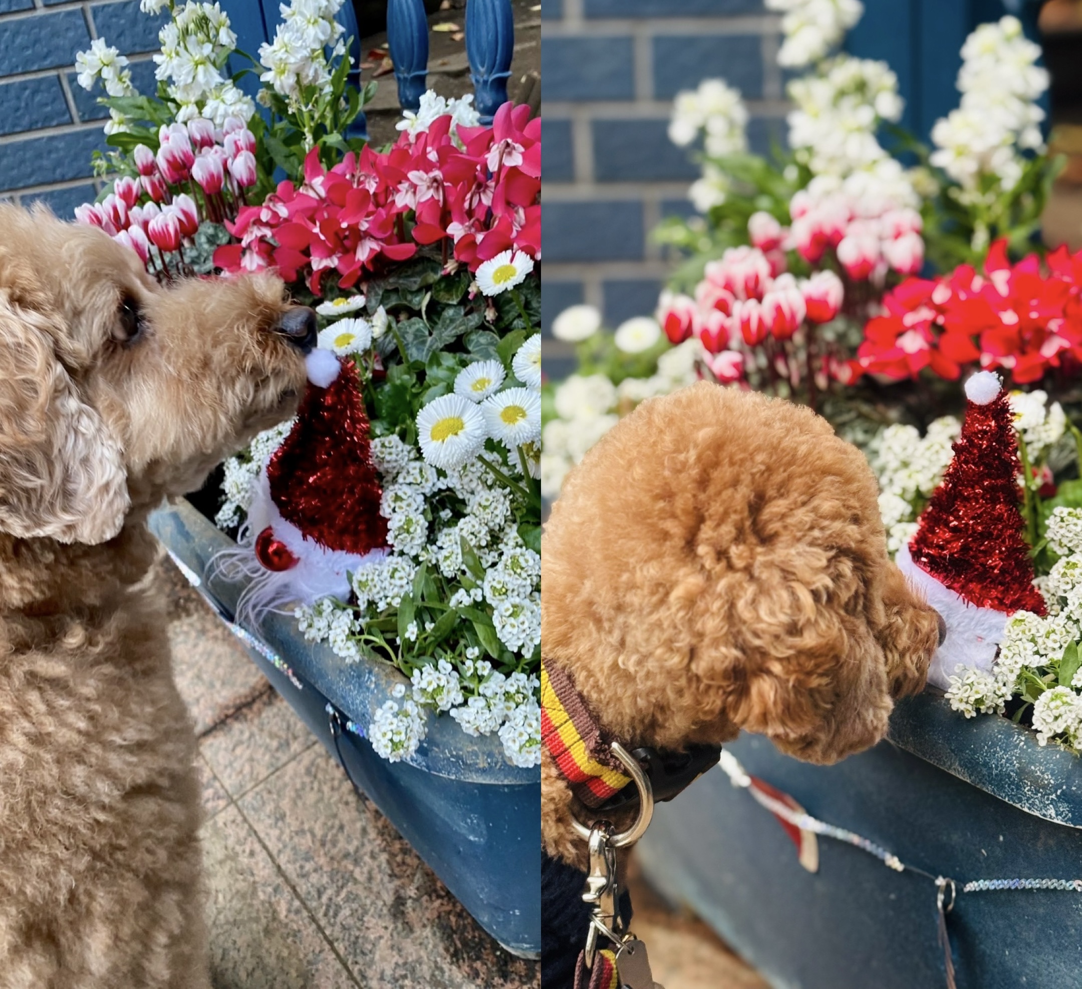 アップロードファイル 1,171KB