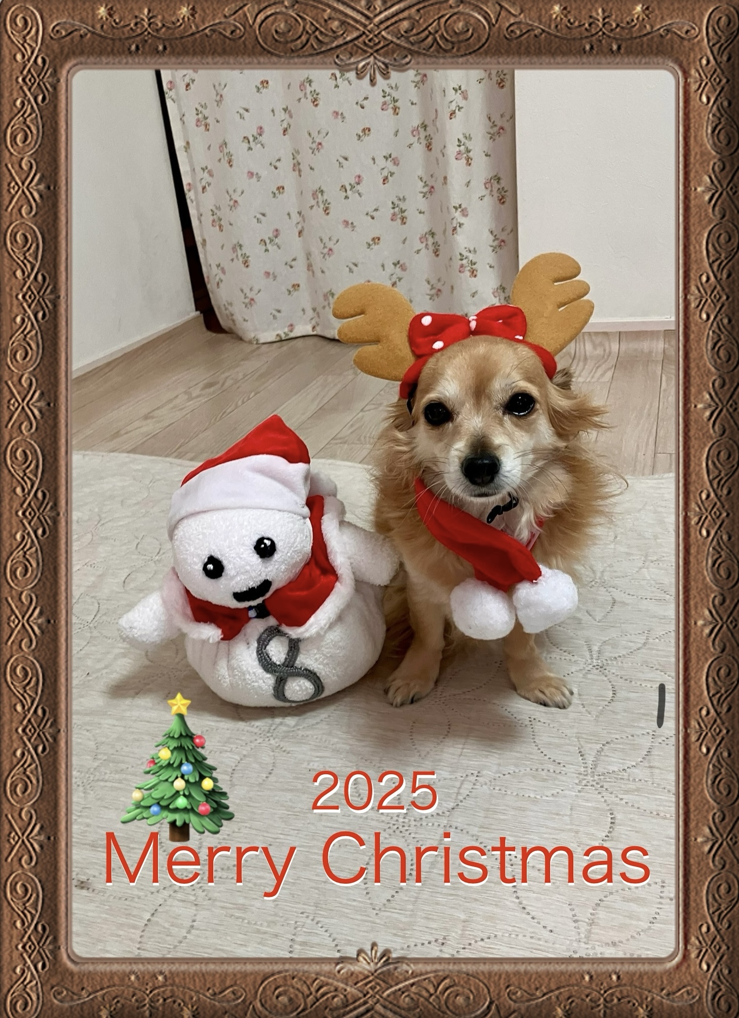 アップロードファイル 953KB