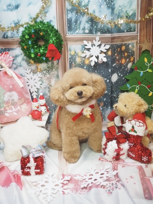 アップロードファイル 147KB