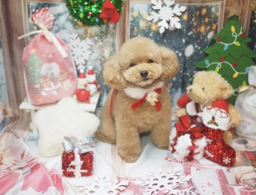 アップロードファイル 76KB