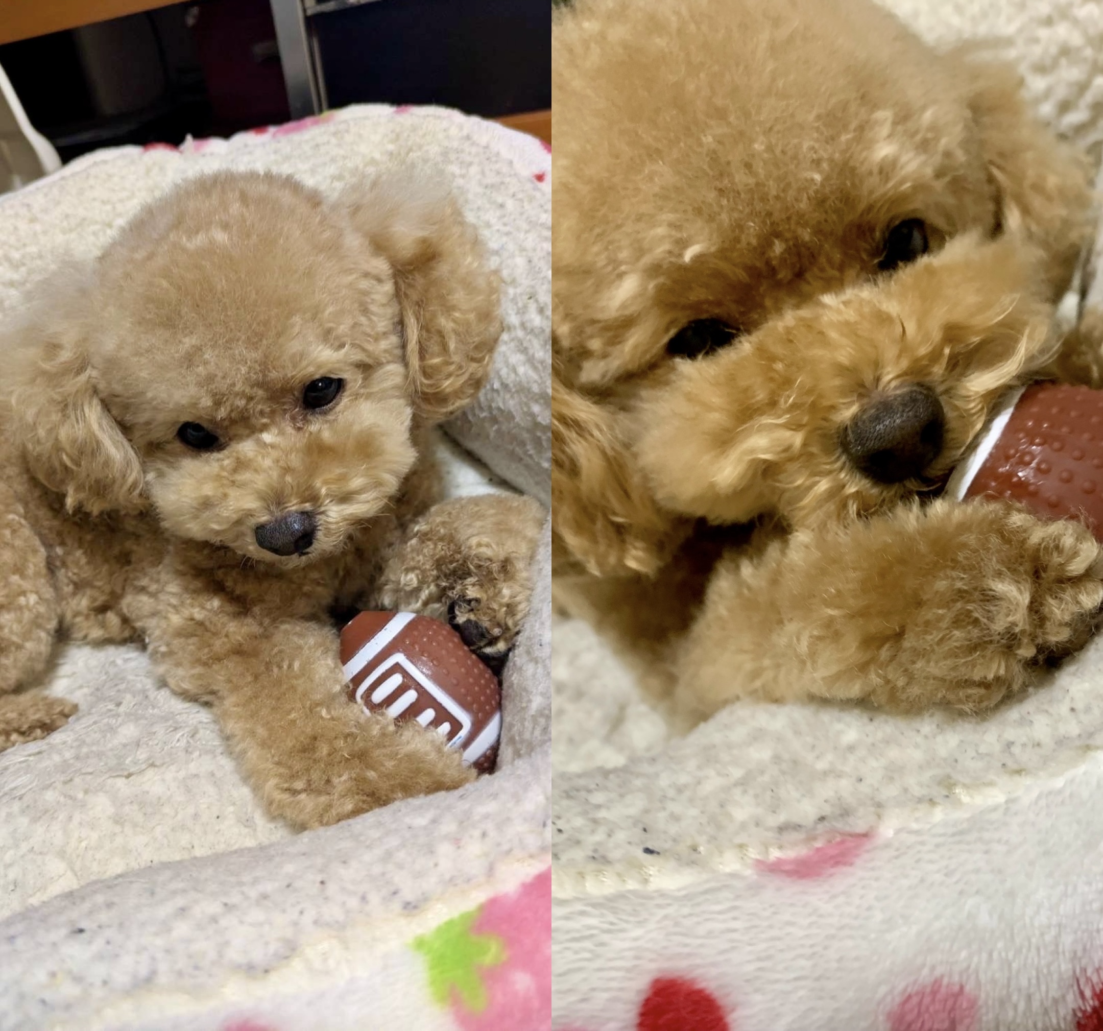 アップロードファイル 883KB