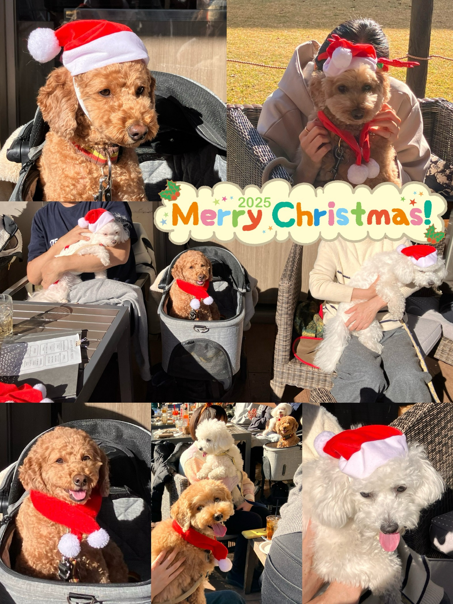 アップロードファイル 956KB