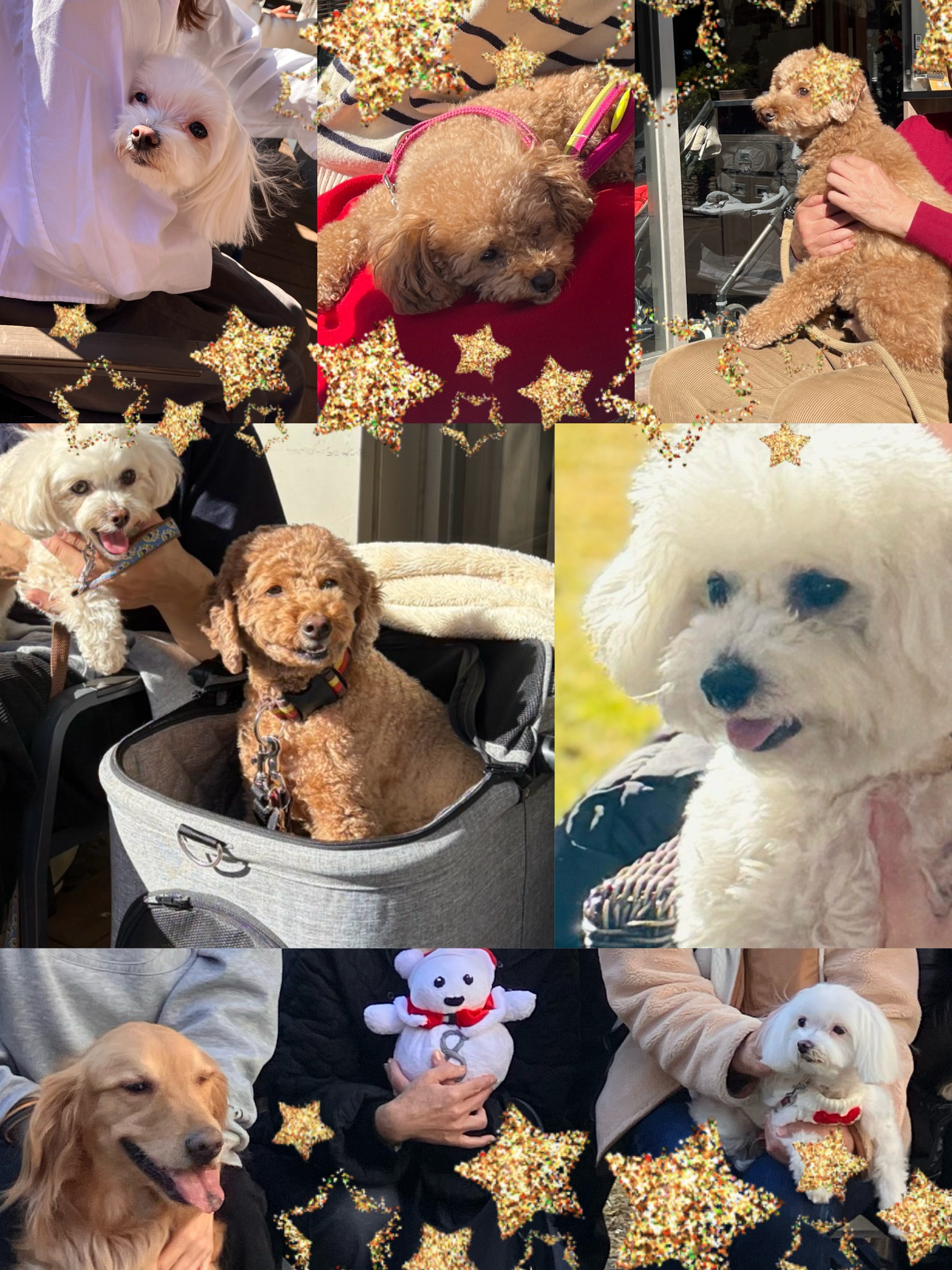 アップロードファイル 3,023KB