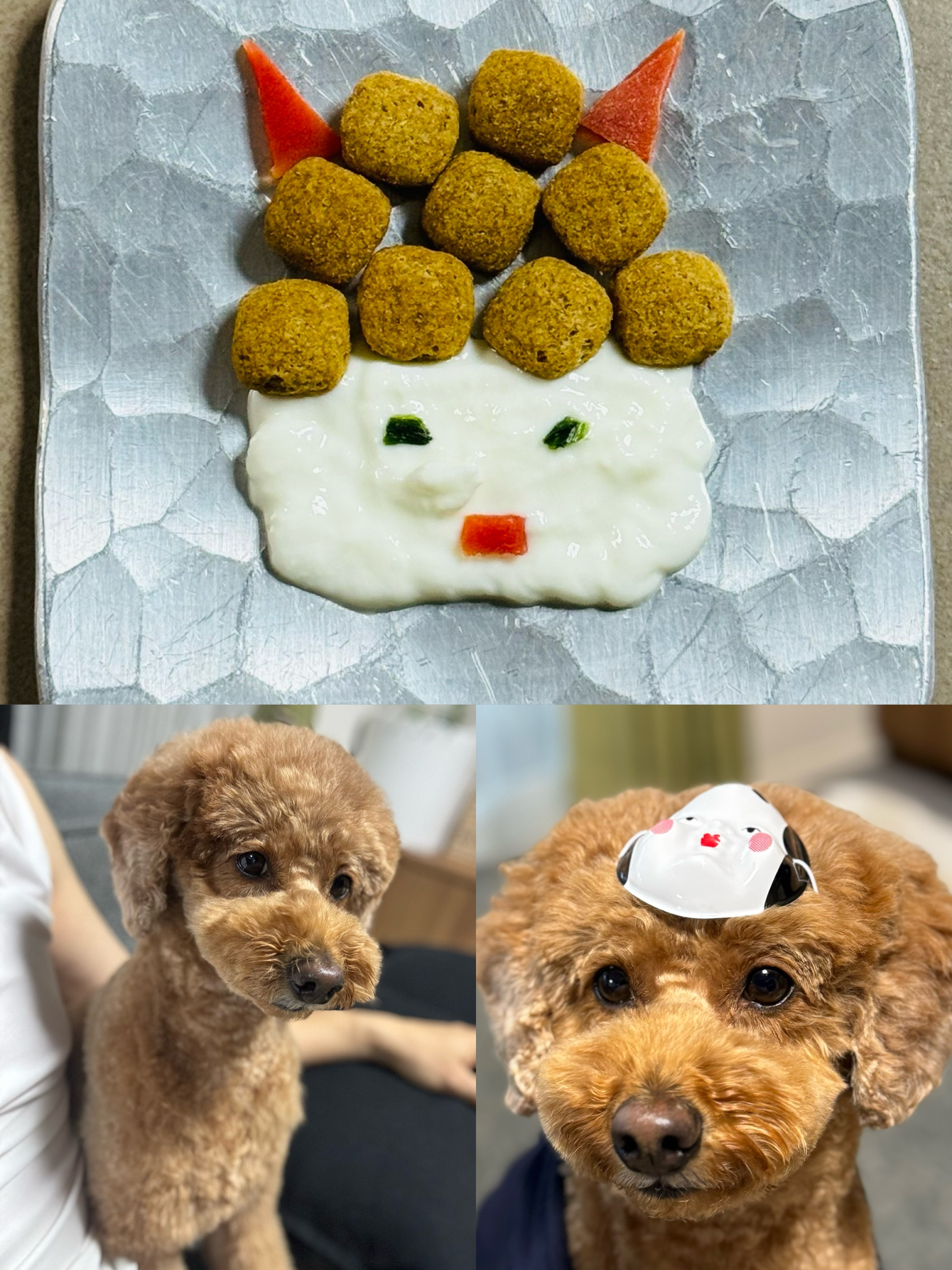 アップロードファイル 1,148KB