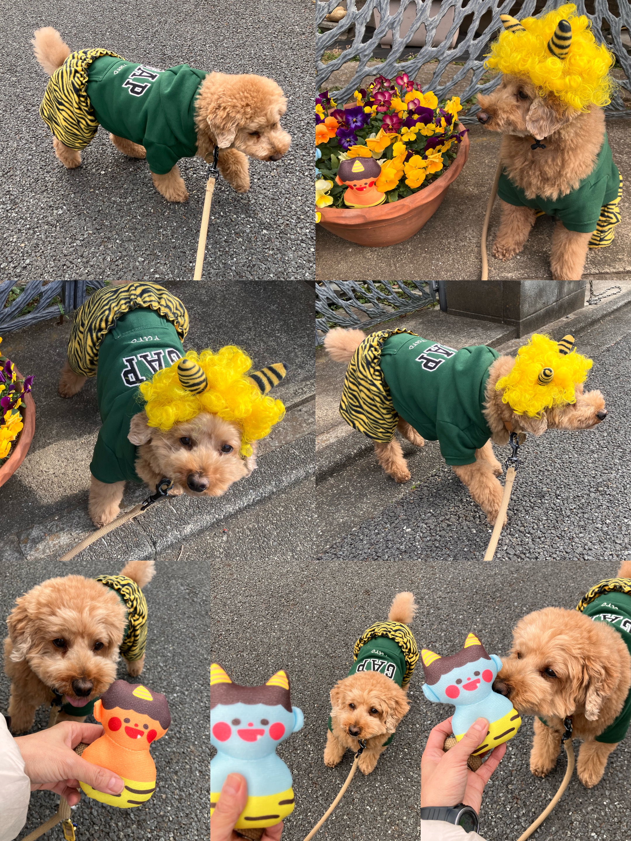 アップロードファイル 2,533KB