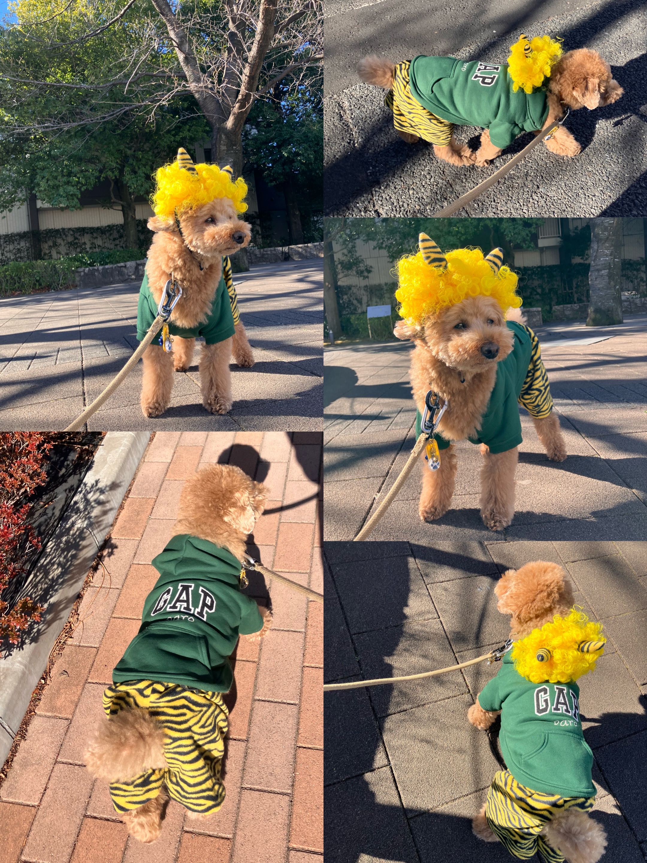 アップロードファイル 2,324KB