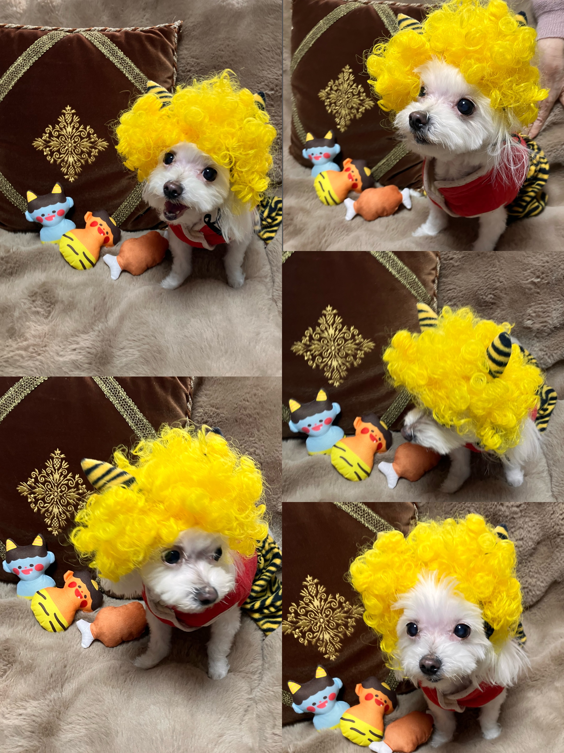 アップロードファイル 1,461KB