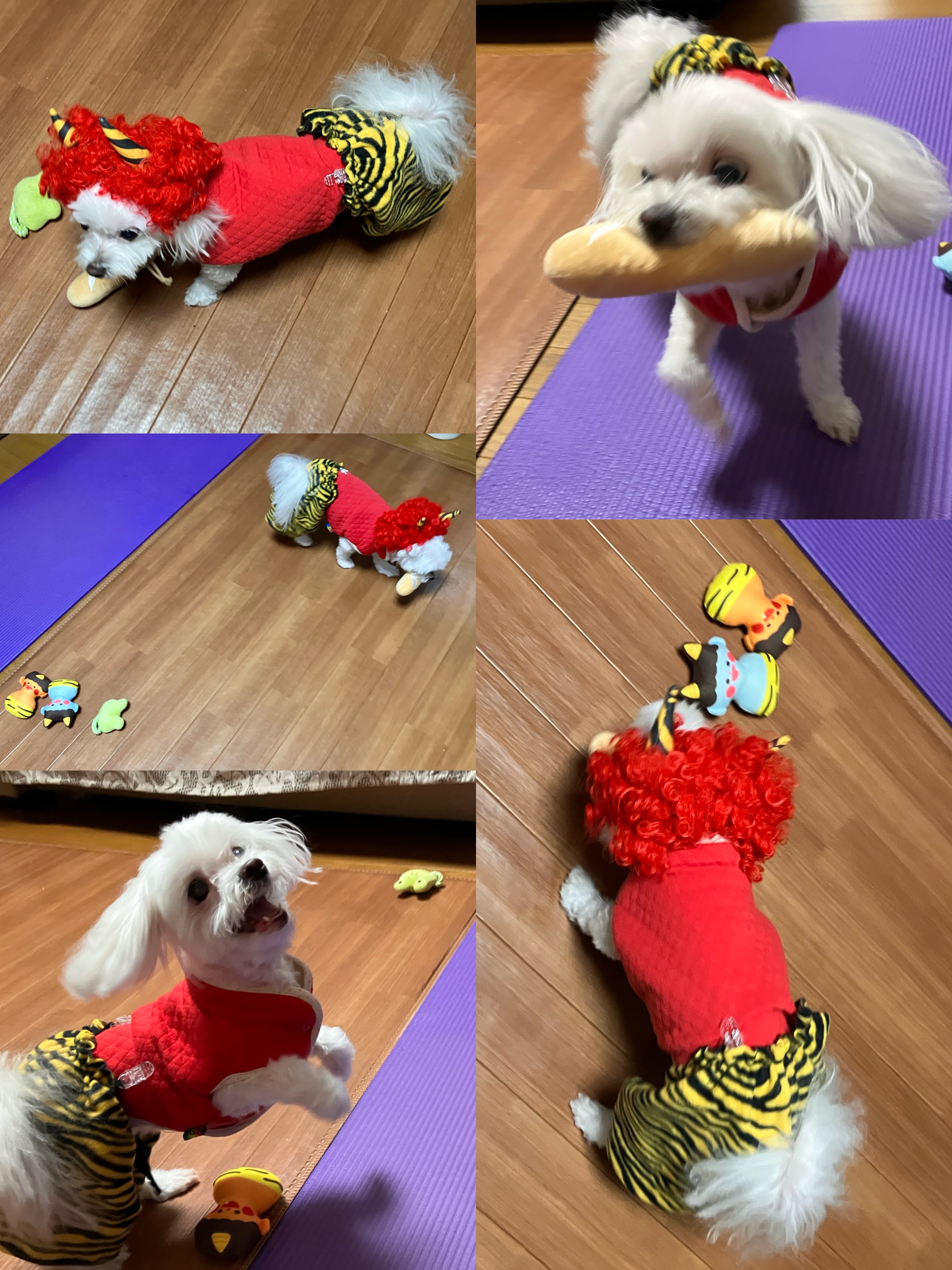 アップロードファイル 1,203KB