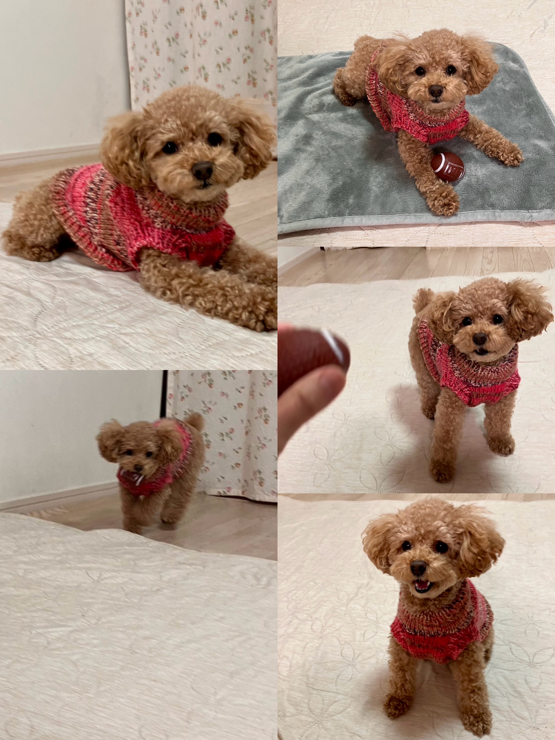 アップロードファイル 1,079KB