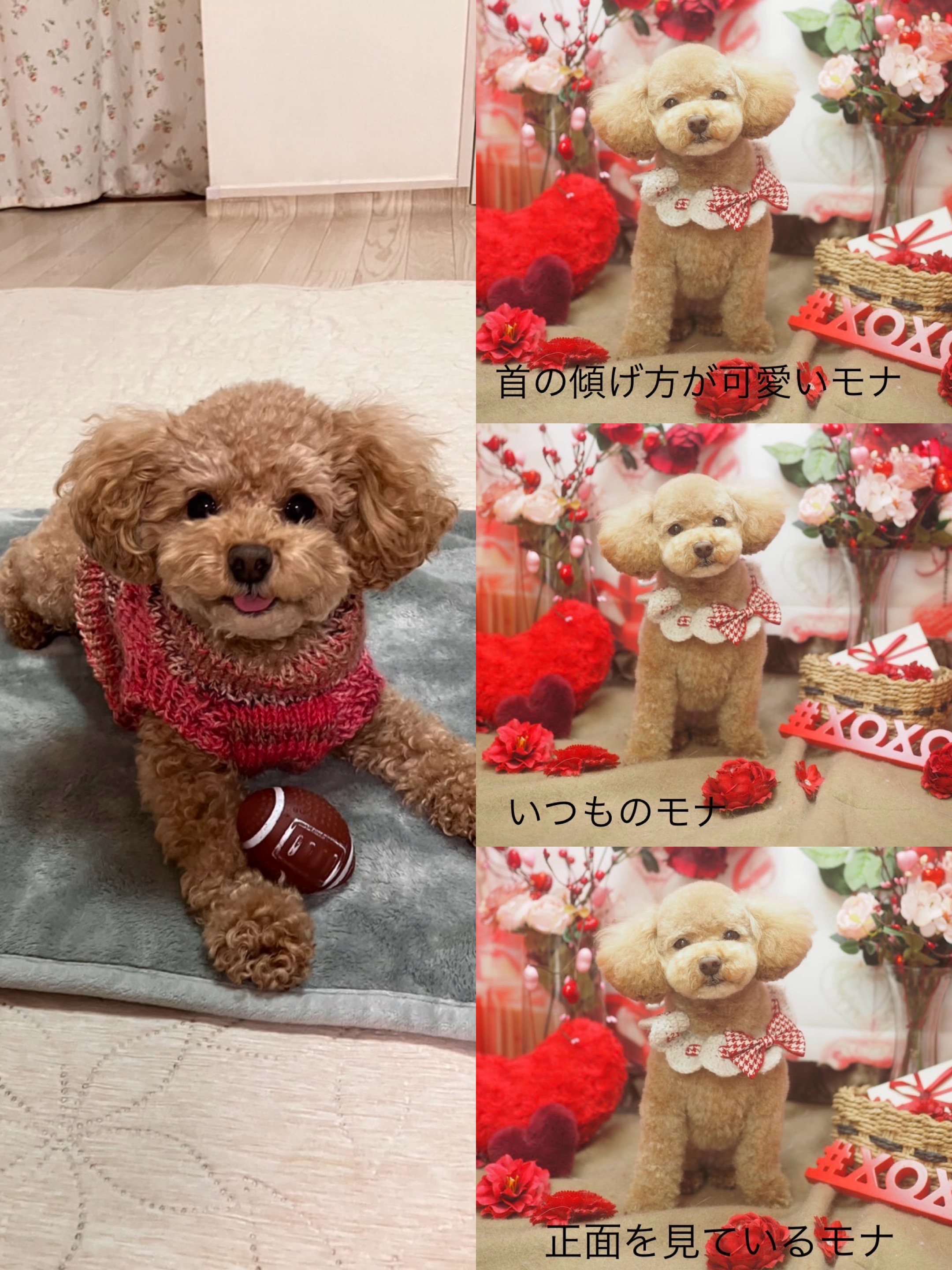 アップロードファイル 1,106KB