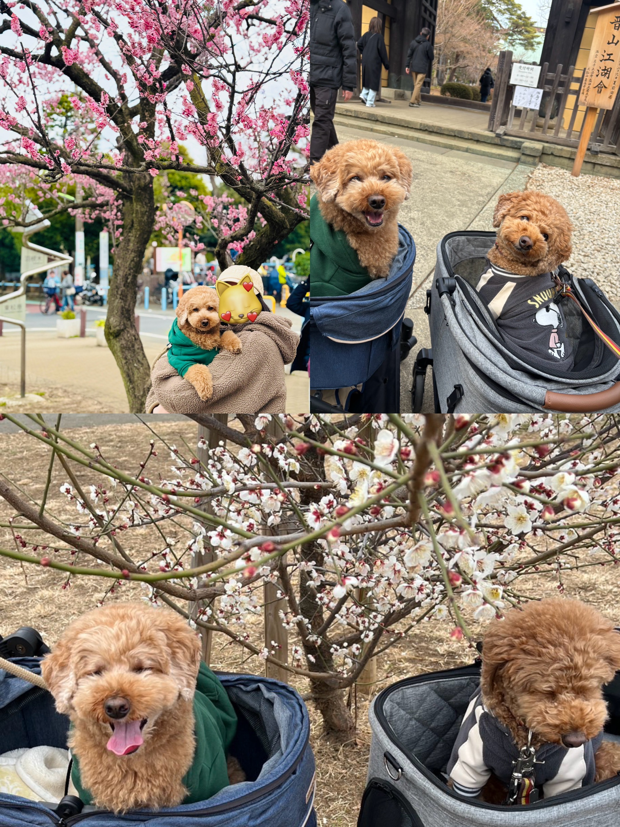 アップロードファイル 1,902KB