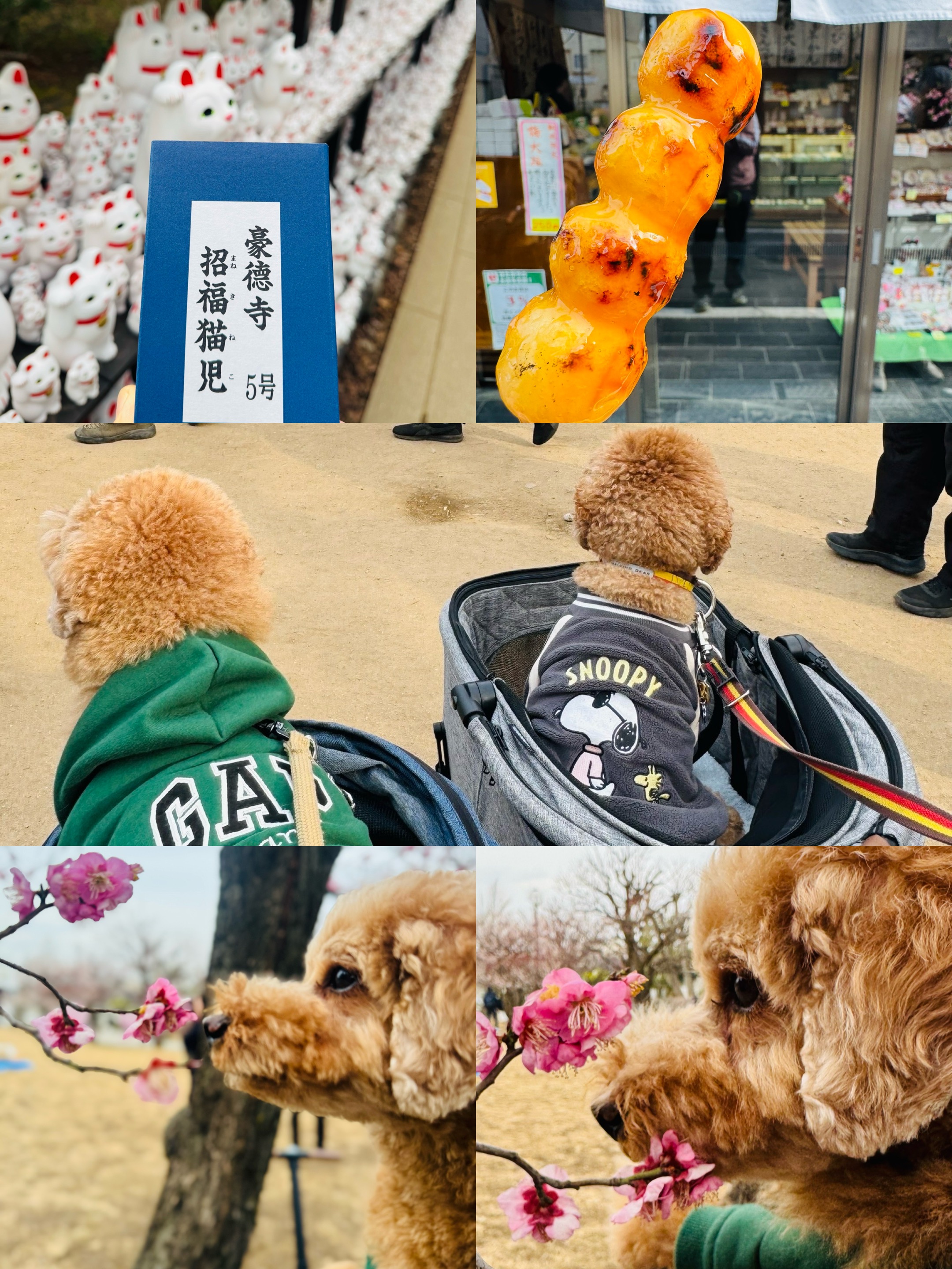 アップロードファイル 1,467KB