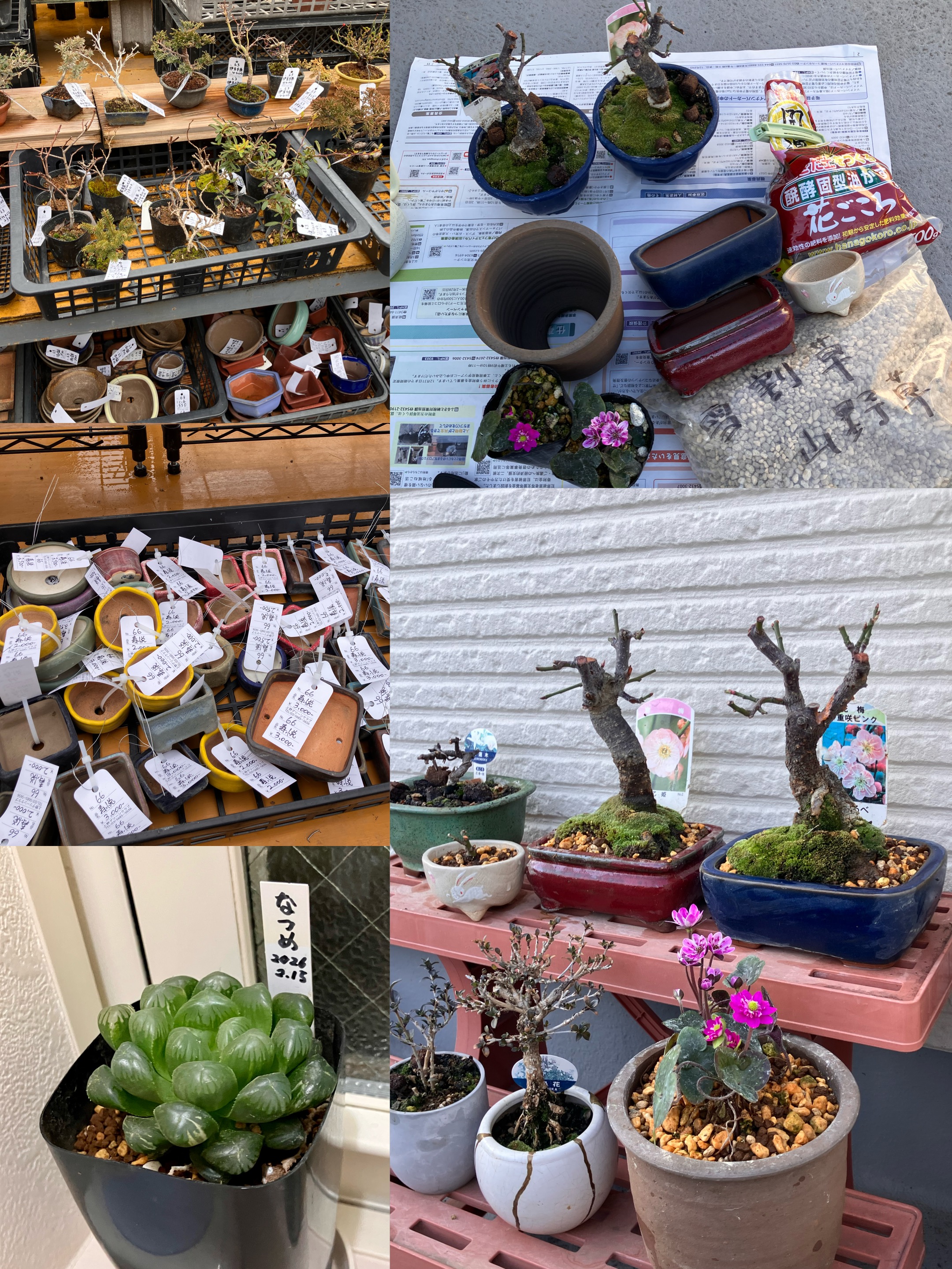 アップロードファイル 2,029KB