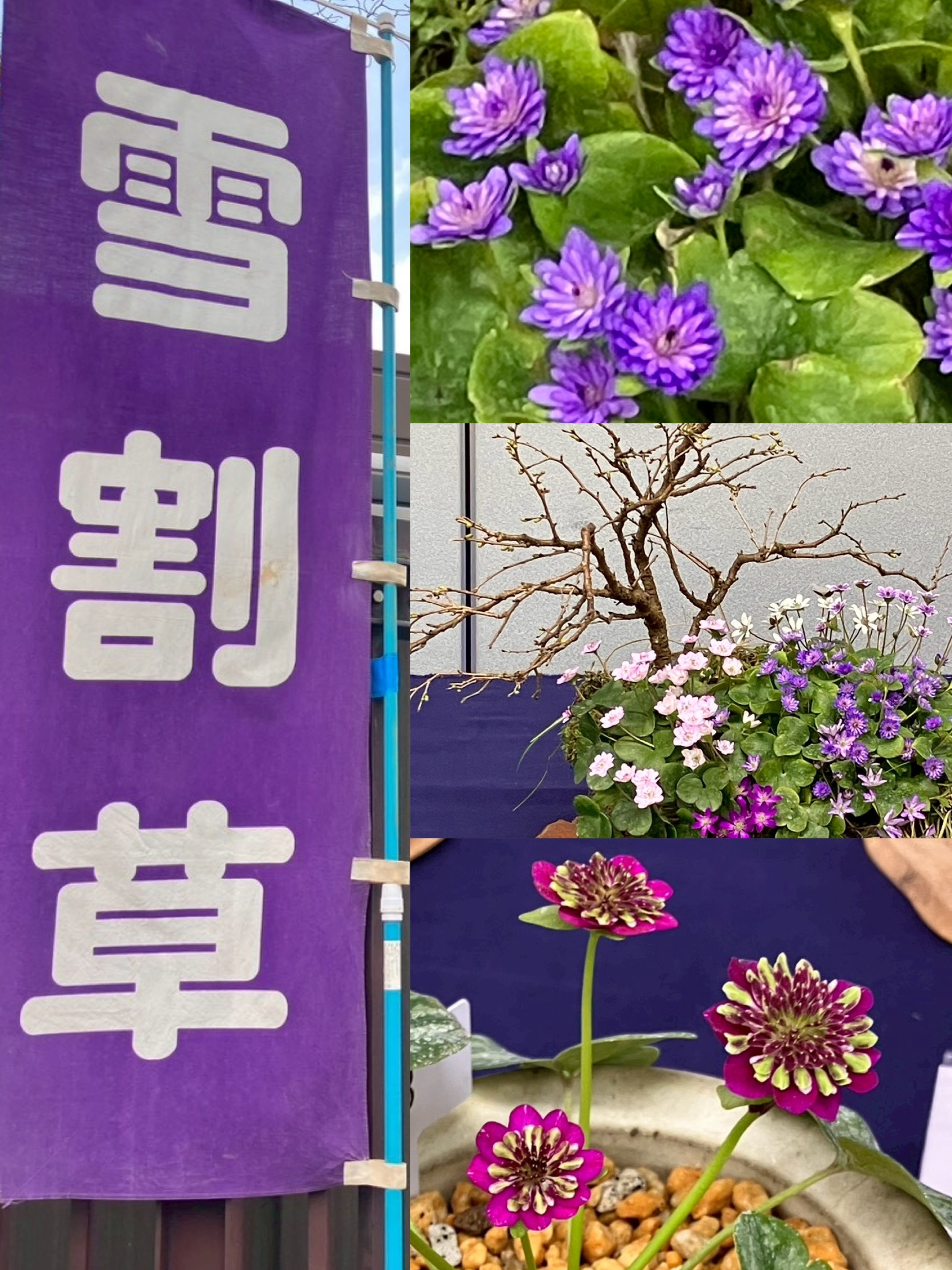 アップロードファイル 1,181KB